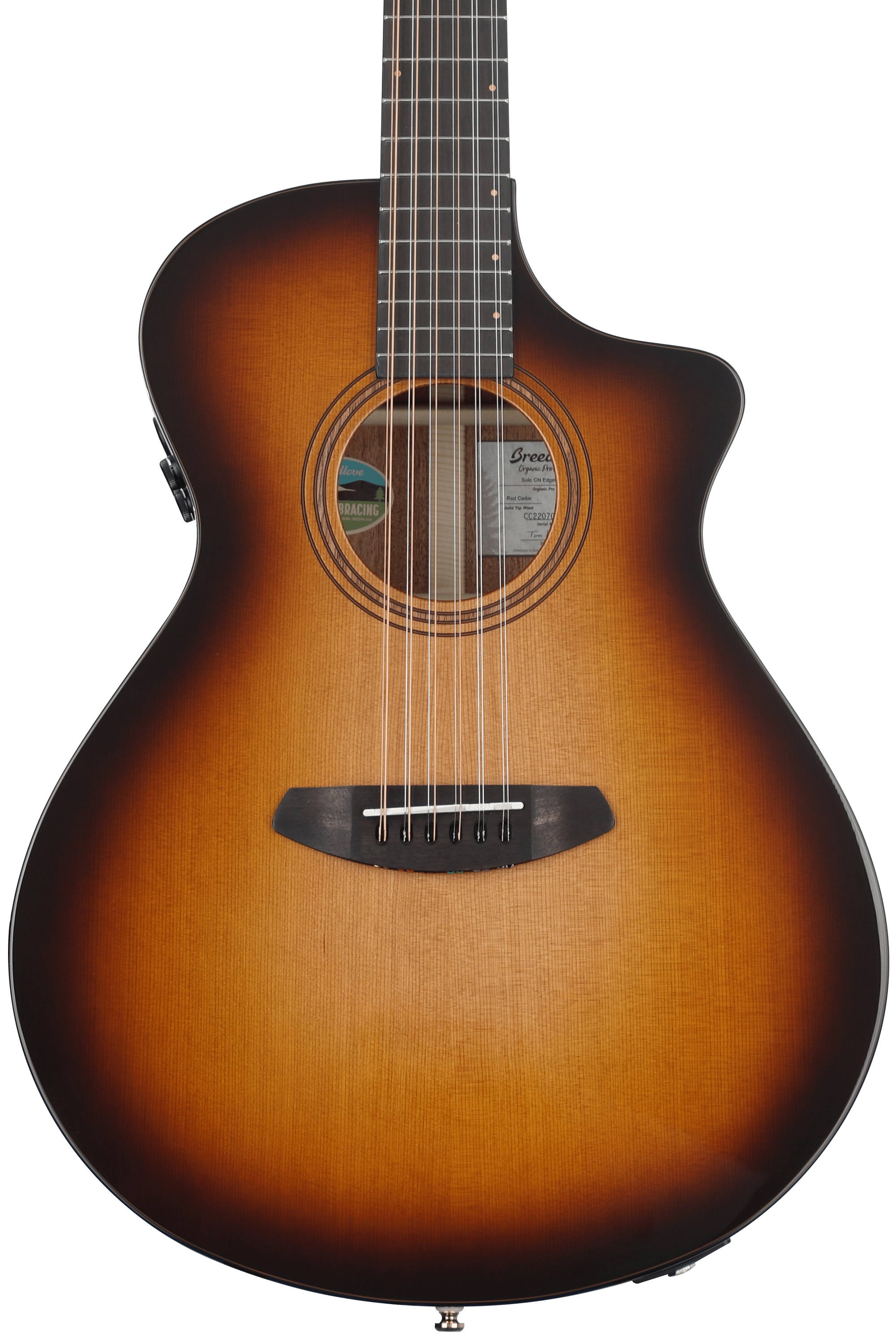 Breedlove Organic Solo Pro Concert CE 12-string Acoustic-electric
