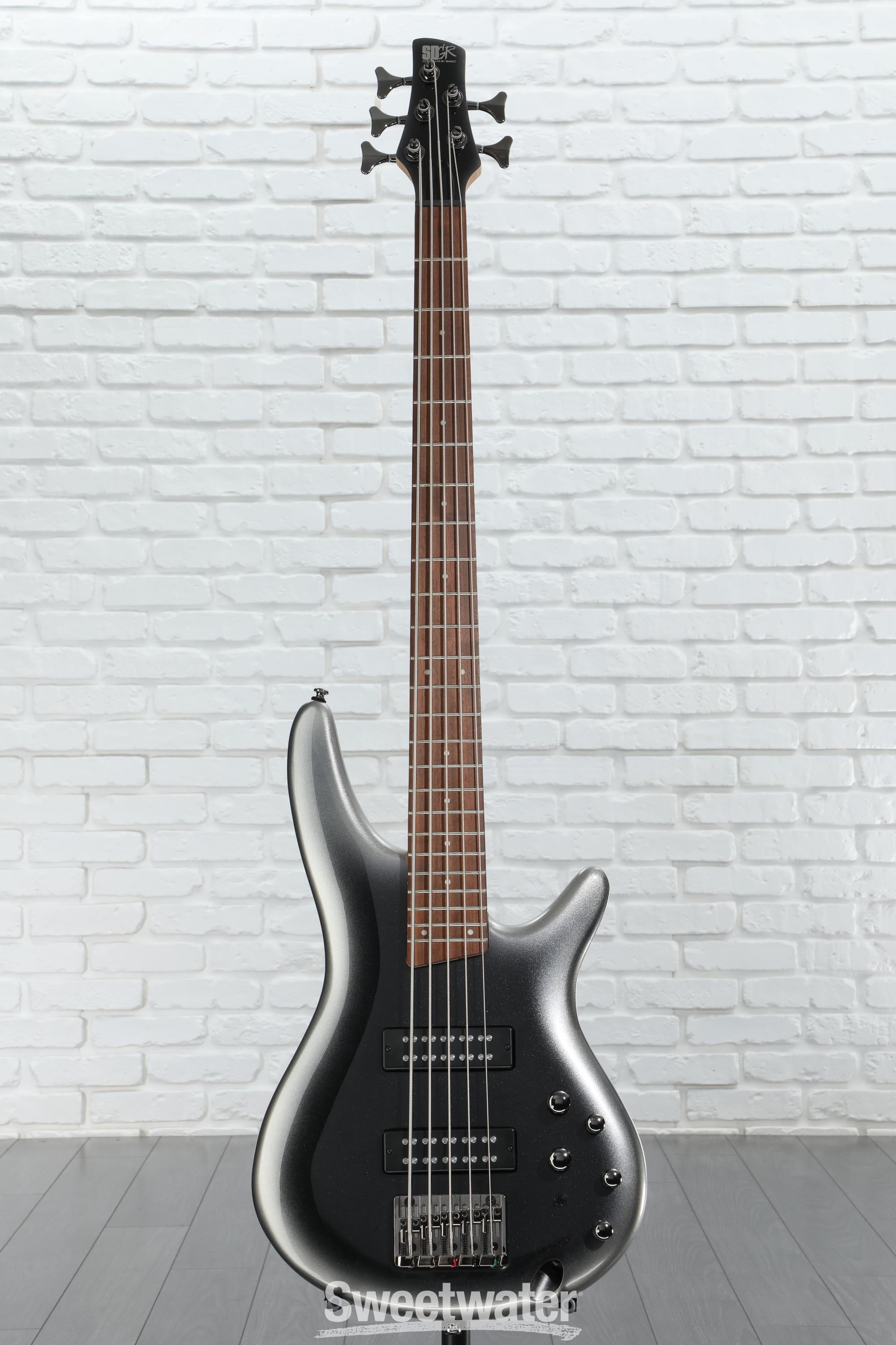 Amazon.com: Ibanez Standard SR305E 5-string Bass Guitar
