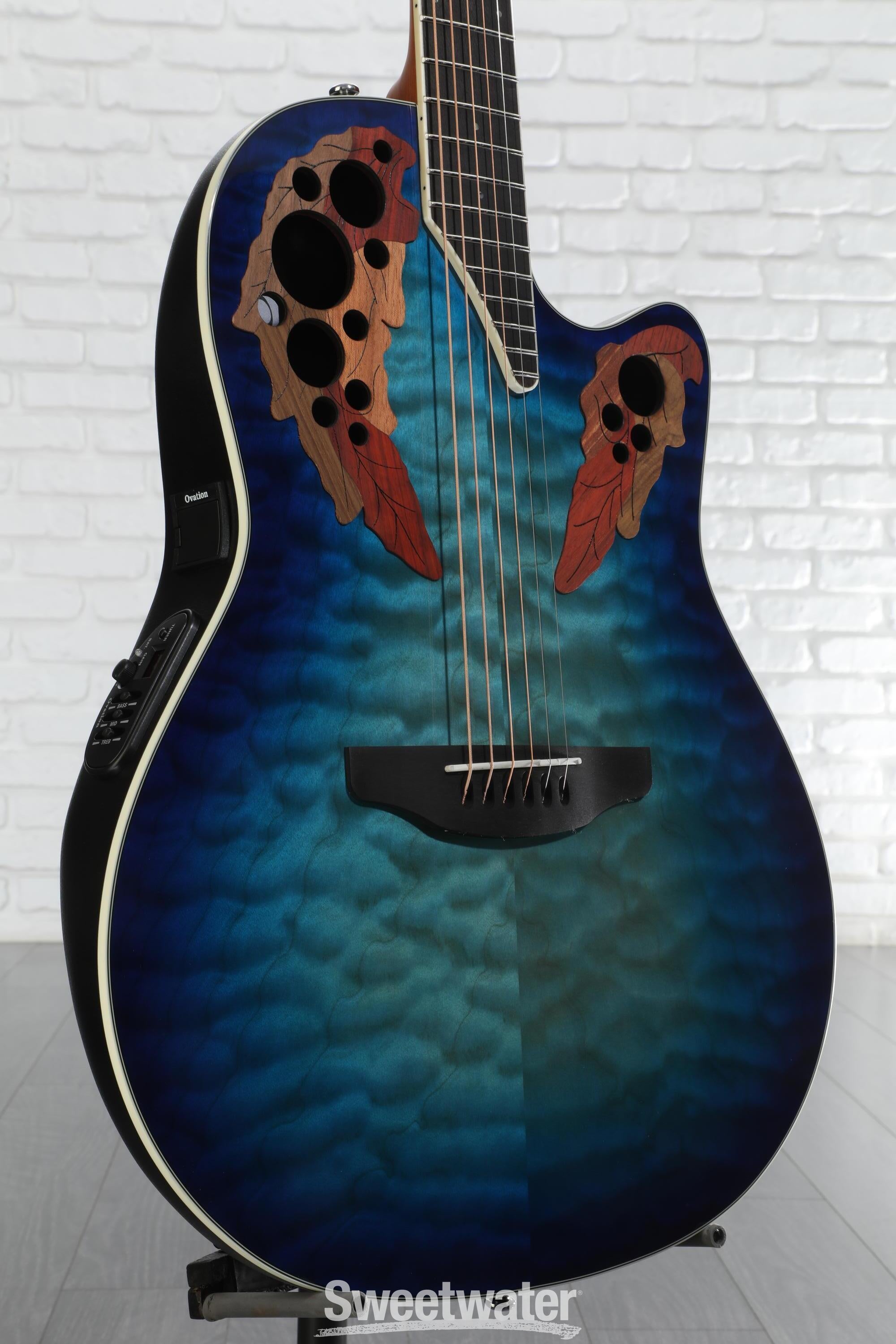 ギター Snake .2Ovation Celebrity CE48P-RG Amazon.com: Ovation Celebrity Collection 6 String Acoustic