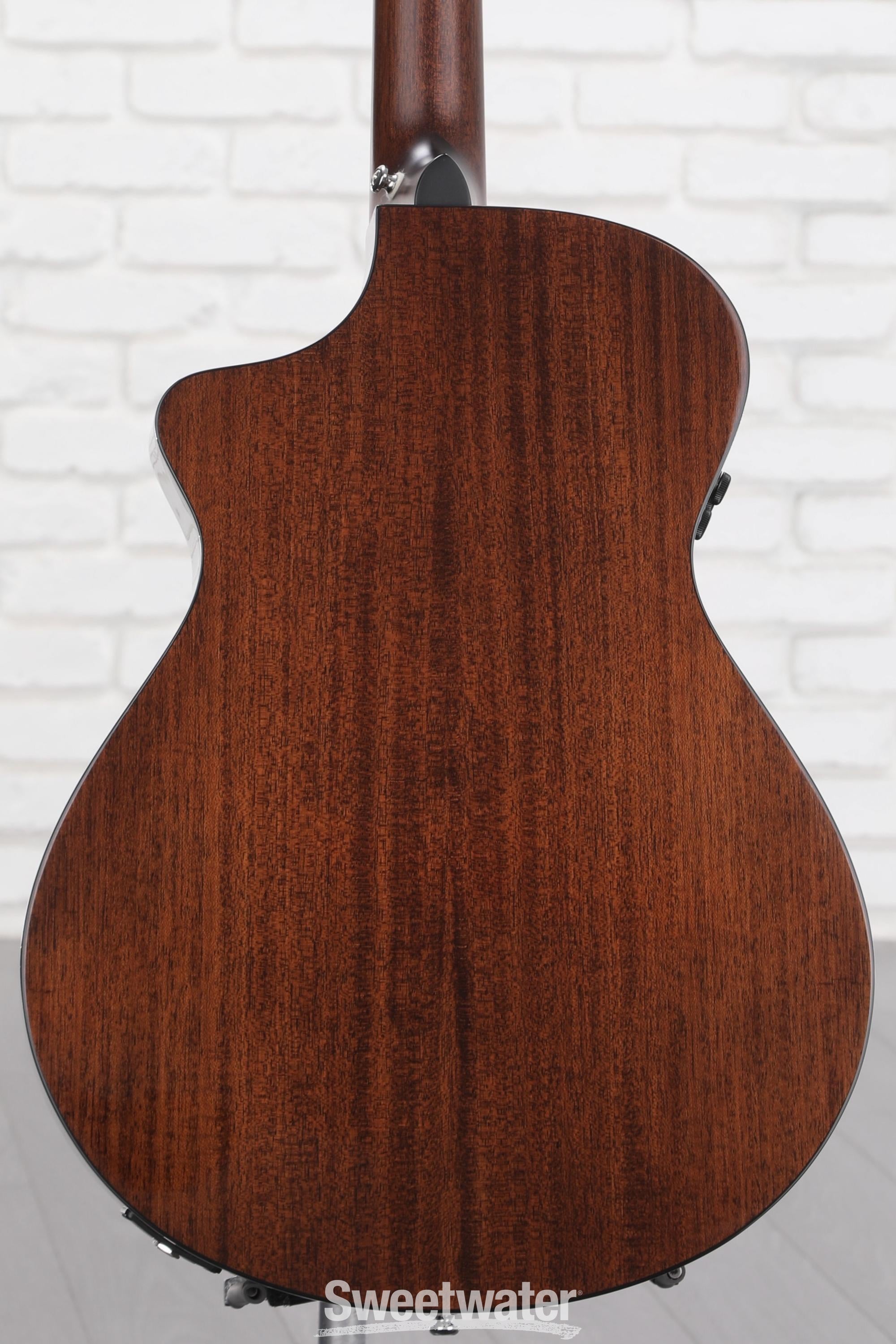 Breedlove Organic Wildwood Pro Parlor Concertina CE Acoustic