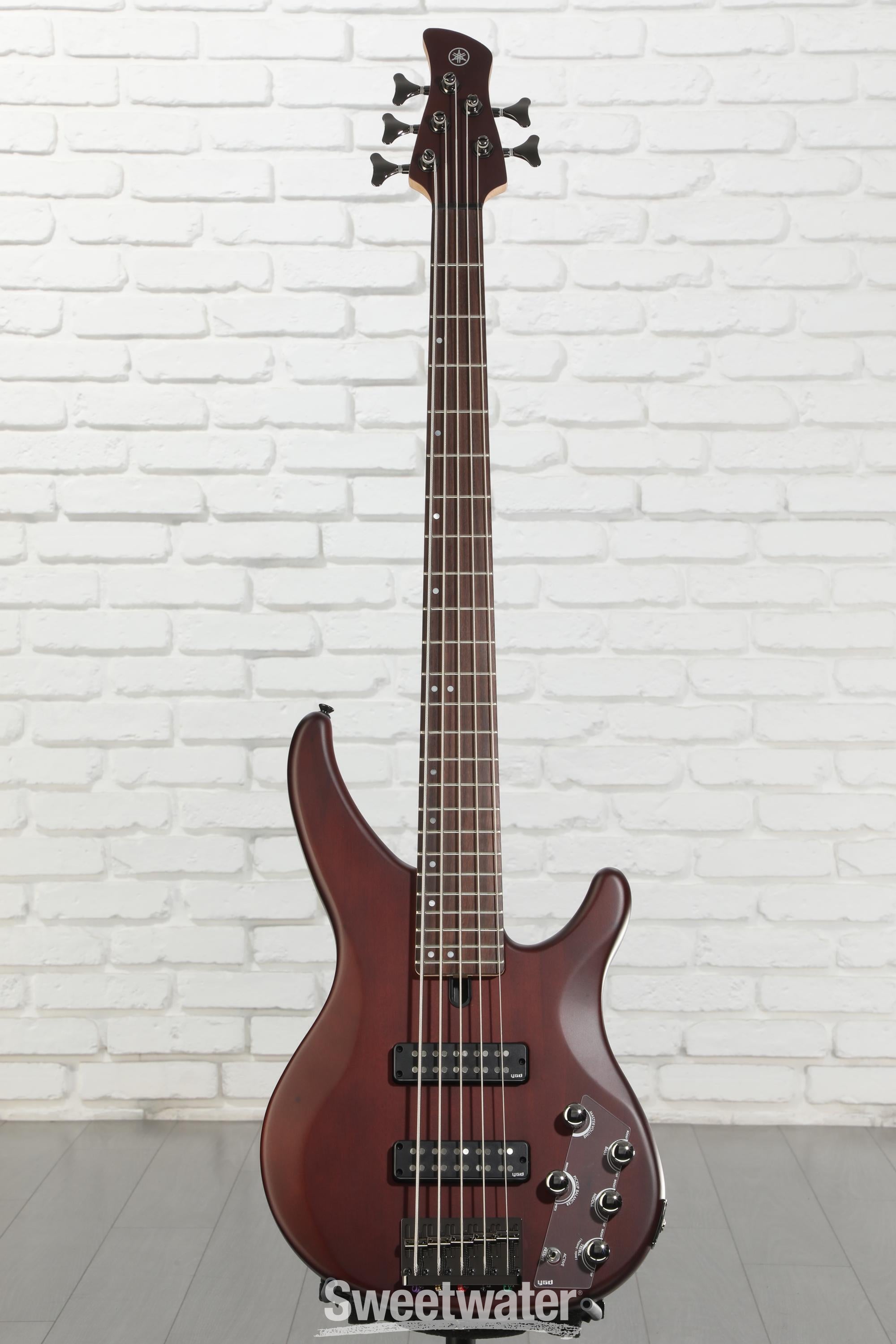 Yamaha TRBX505 5-string Bass Guitar - Translucent Brown | Sweetwater