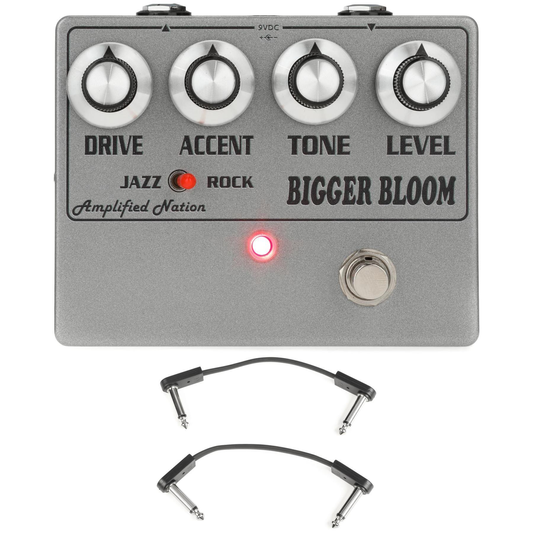 Bigger Bloom Overdrive – Amplified Nation