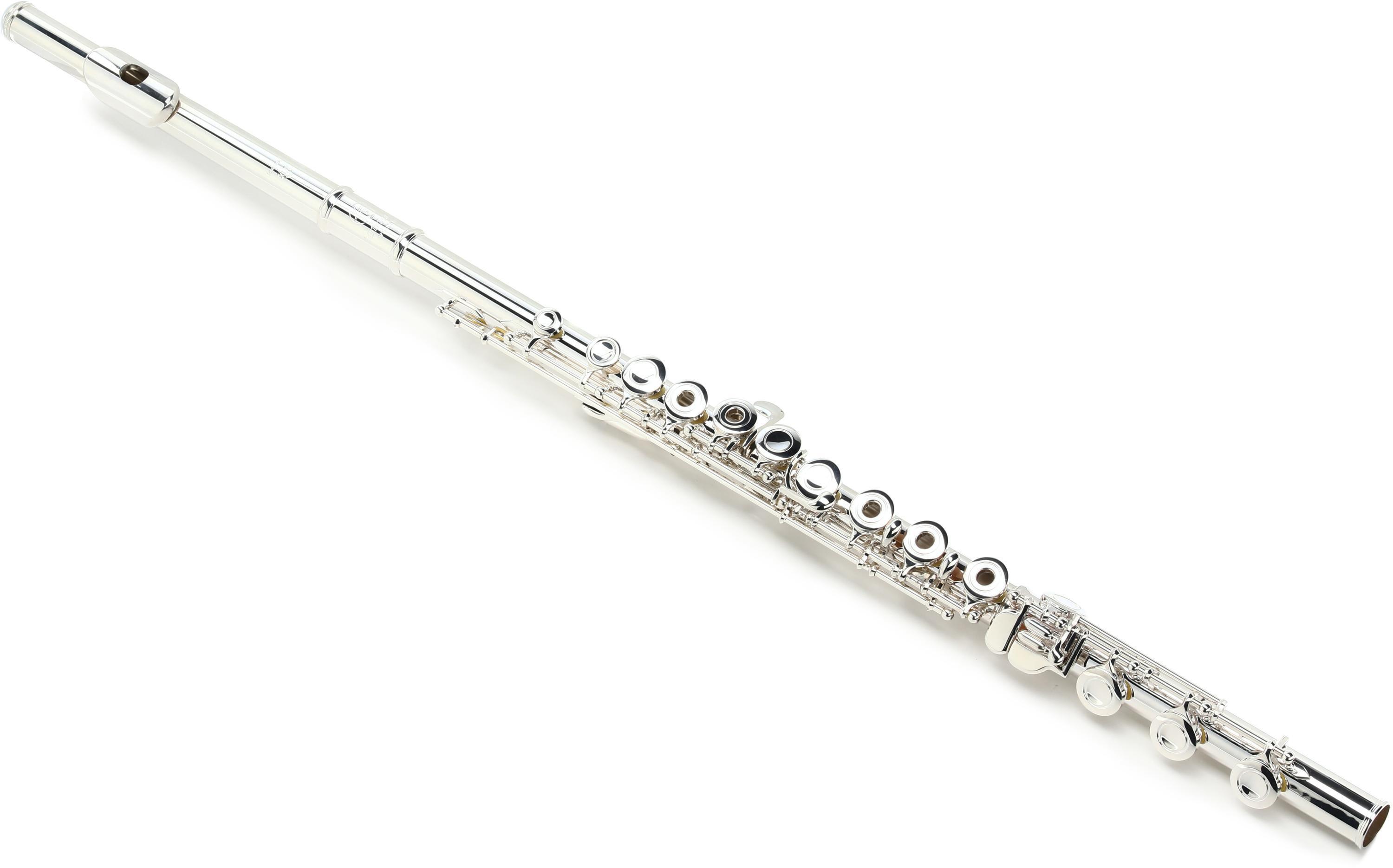 Simple Ways to Clean a Silver Flute: 10 Steps (with Pictures)