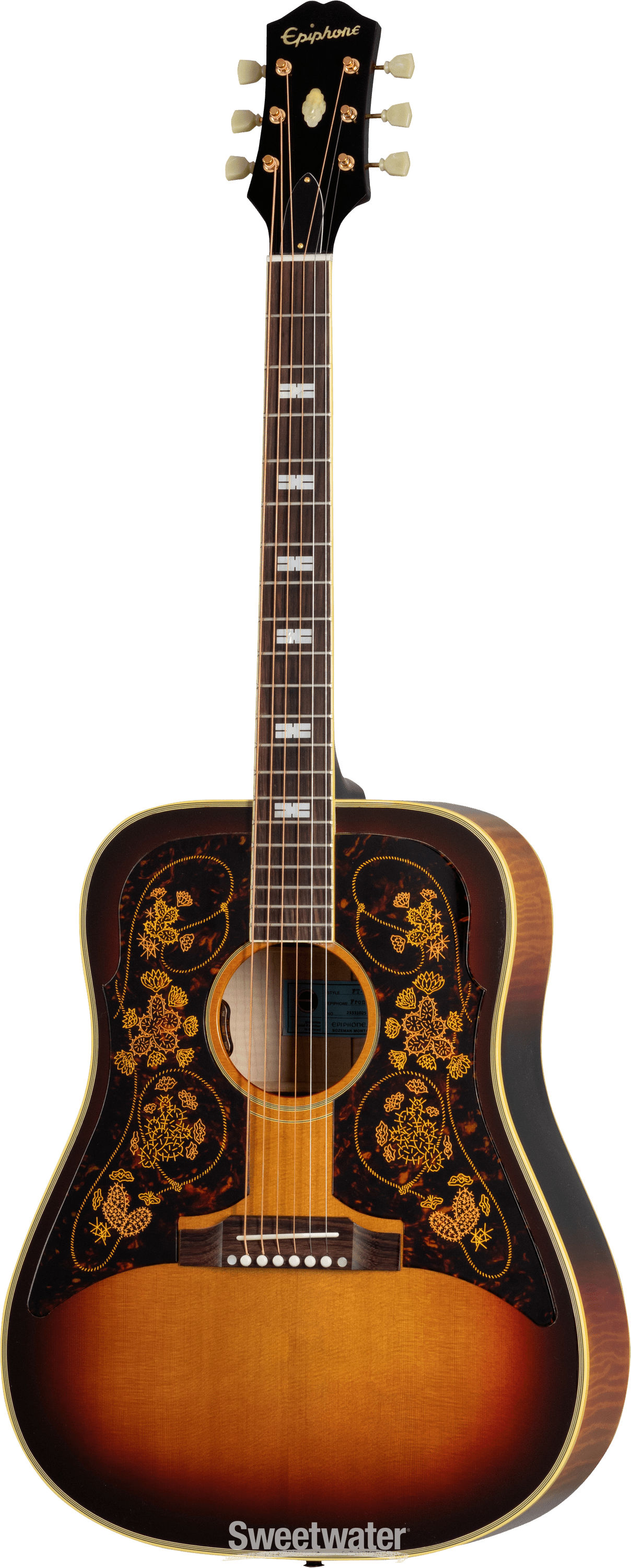 Chris online stapleton epiphone
