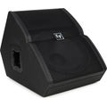 Photo of Electro-Voice TX1152FM 2000W 15-inch Passive Floor Monitor Speaker