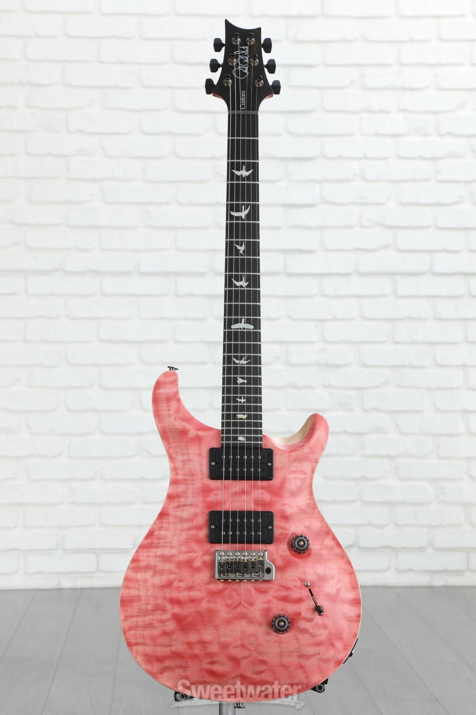 PRS Wood Library Custom 24 10-Top Electric Guitar - Bonni