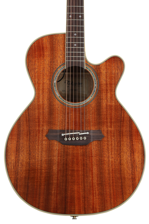 ギター THE ART OF WOOD AND TONE Takamine THE ART OF WOOD AND TONE Takamine