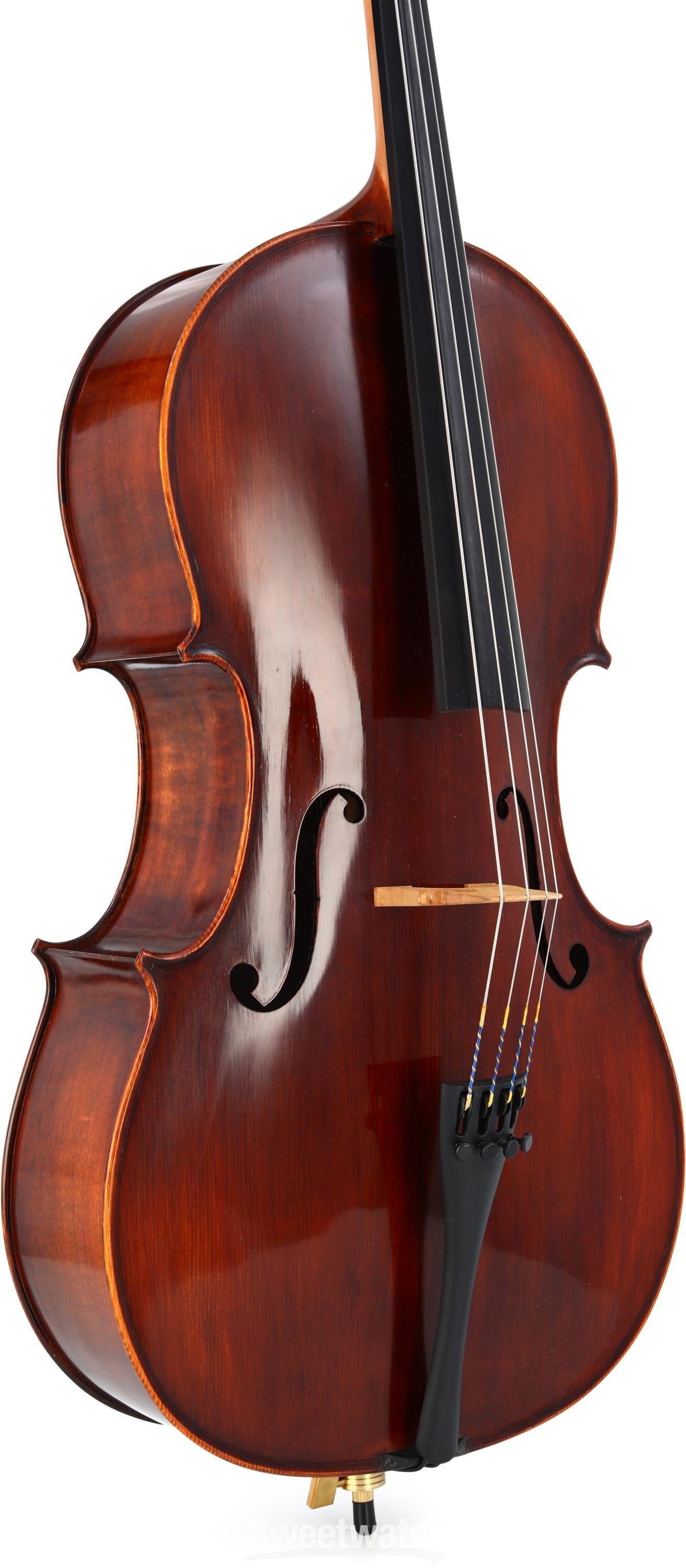 cello Shen SC200 Maple 7/8 Cello – All Strings Attached