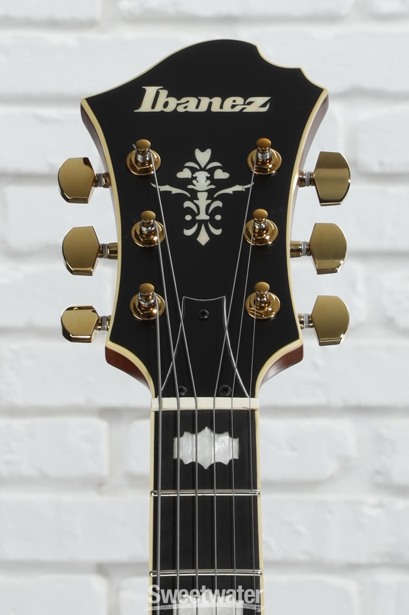 Ibanez PM3C Pat Metheny Signature Hollowbody Electric Guitar