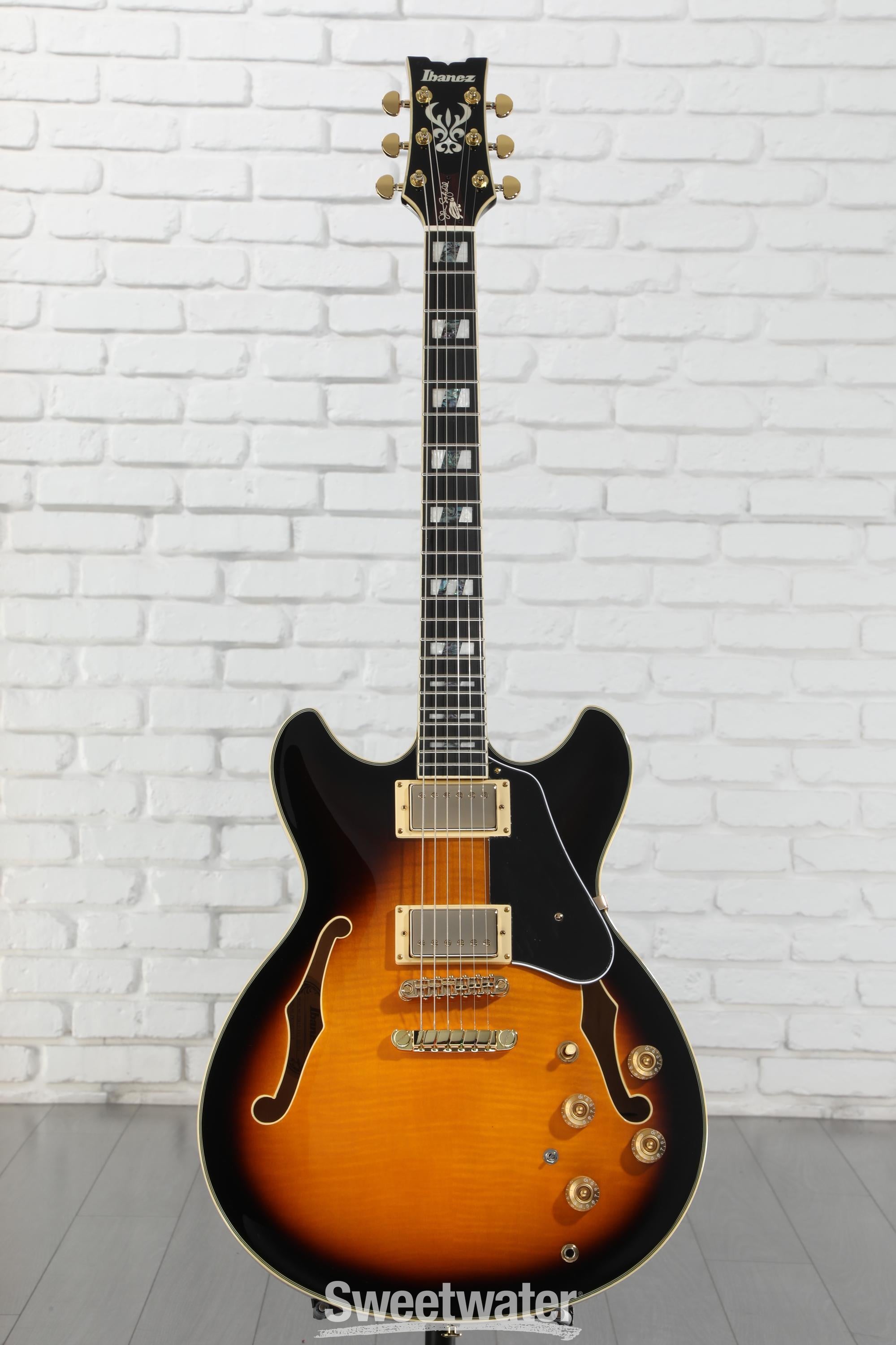 ギター Ibanez JSM10 VYS John Scofield Ibanez John Scofield Signature JSM10 - Vintage Yellow