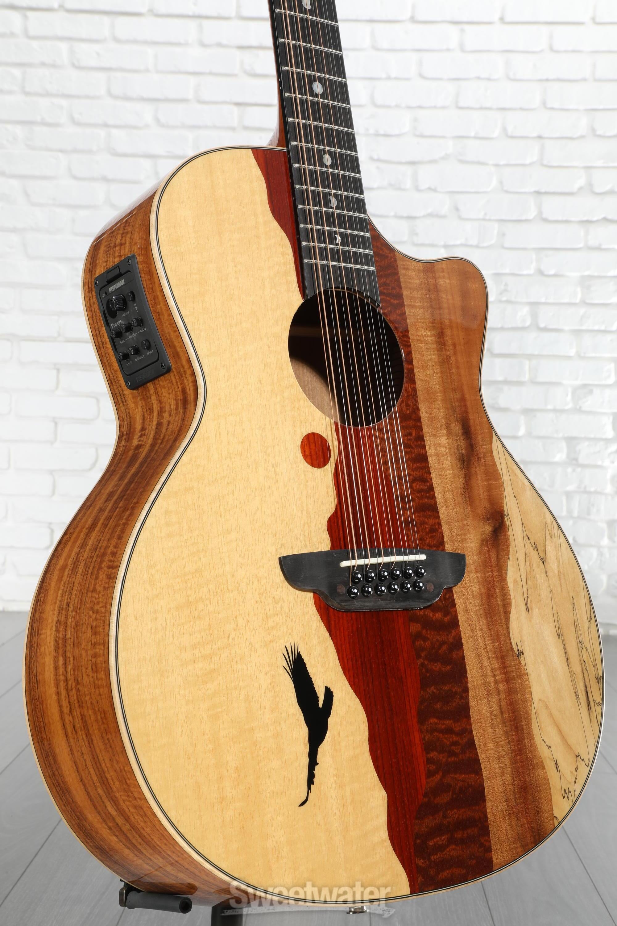 ギター LUNA GUITARS VISTA EAGLE VISTA EAGLE A/E WITH HARDSHELL CASE