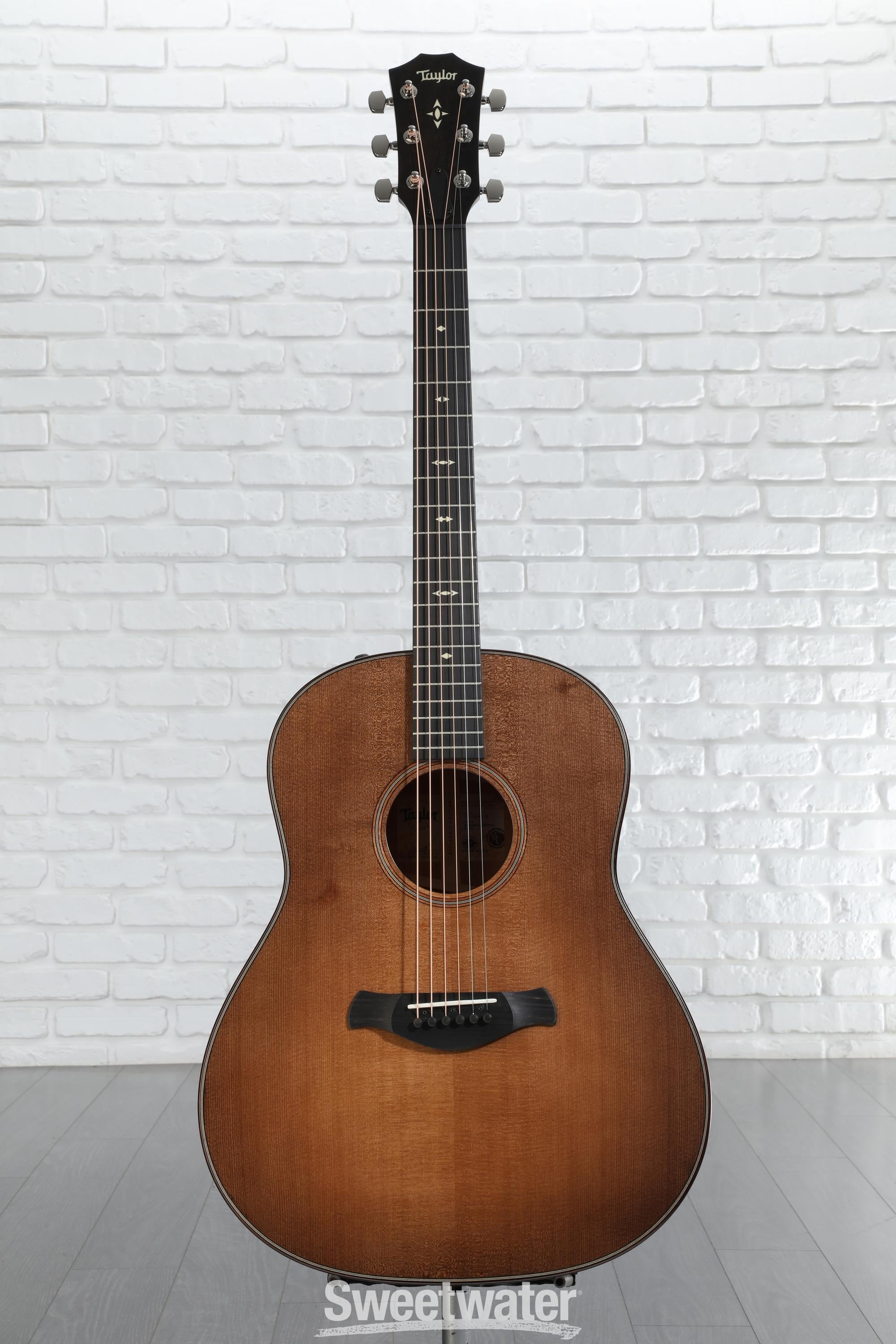 Taylor 517e Grand Pacific Builder's Edition V-Class - Wild
