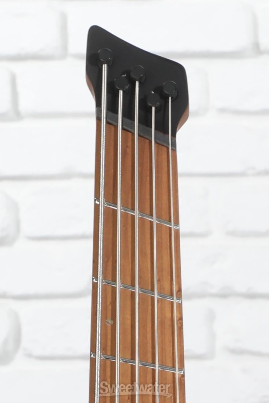 Ibanez Bass Workshop EHB1005MS Bass Guitar - Black Flat