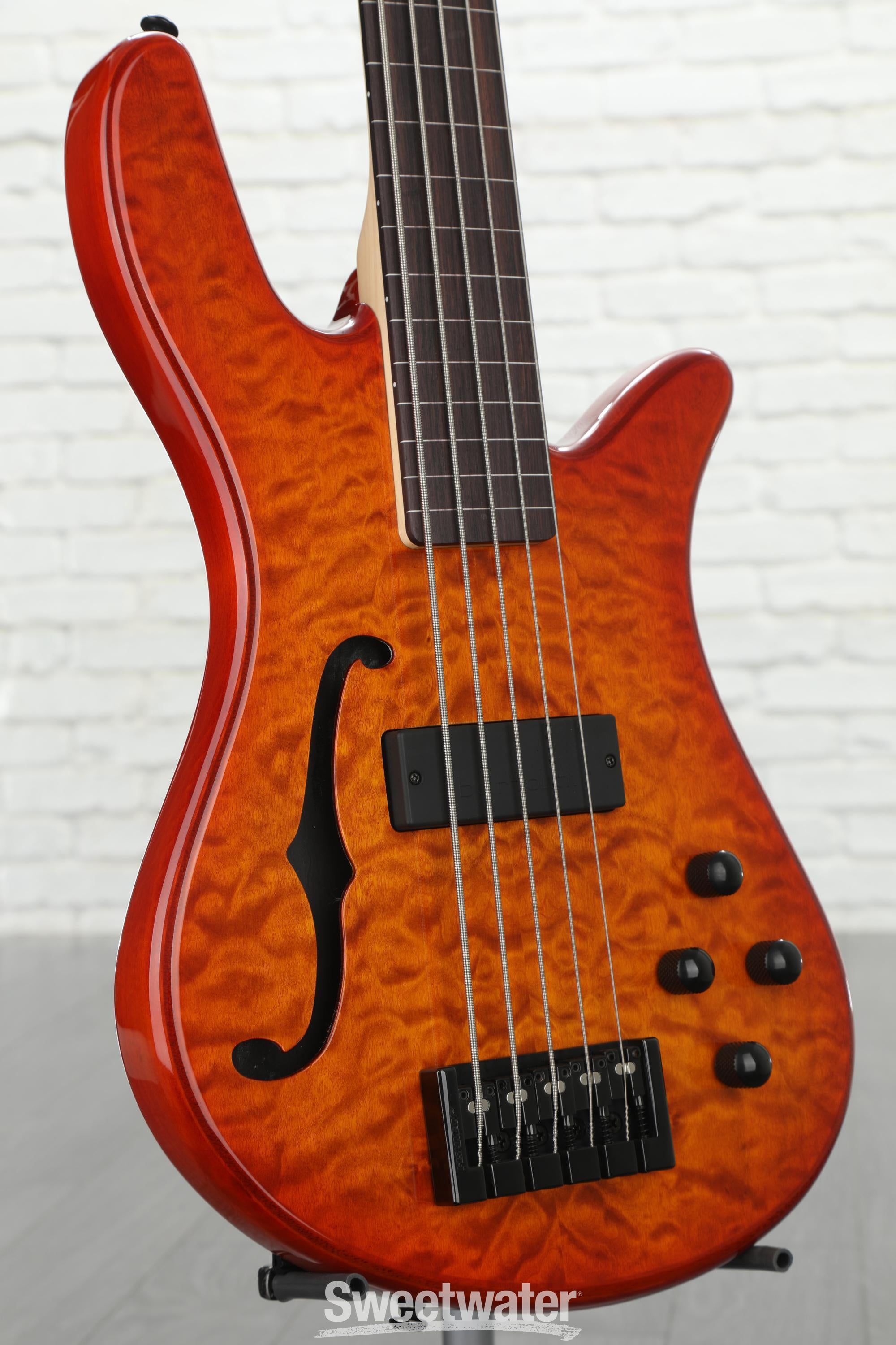 Spector fretless deals