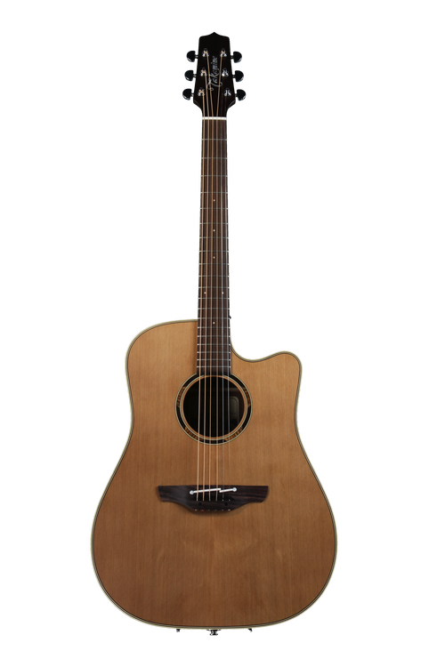 Takamine ETN10C | Sweetwater