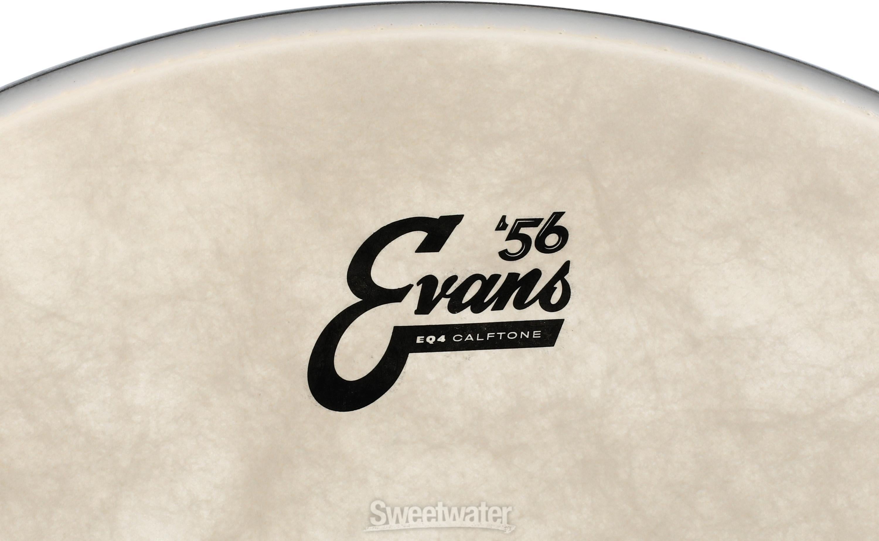 大砲候補 EVANS Bass Batter EQ4 Clear BD22GB4 ドラムヘッド バス