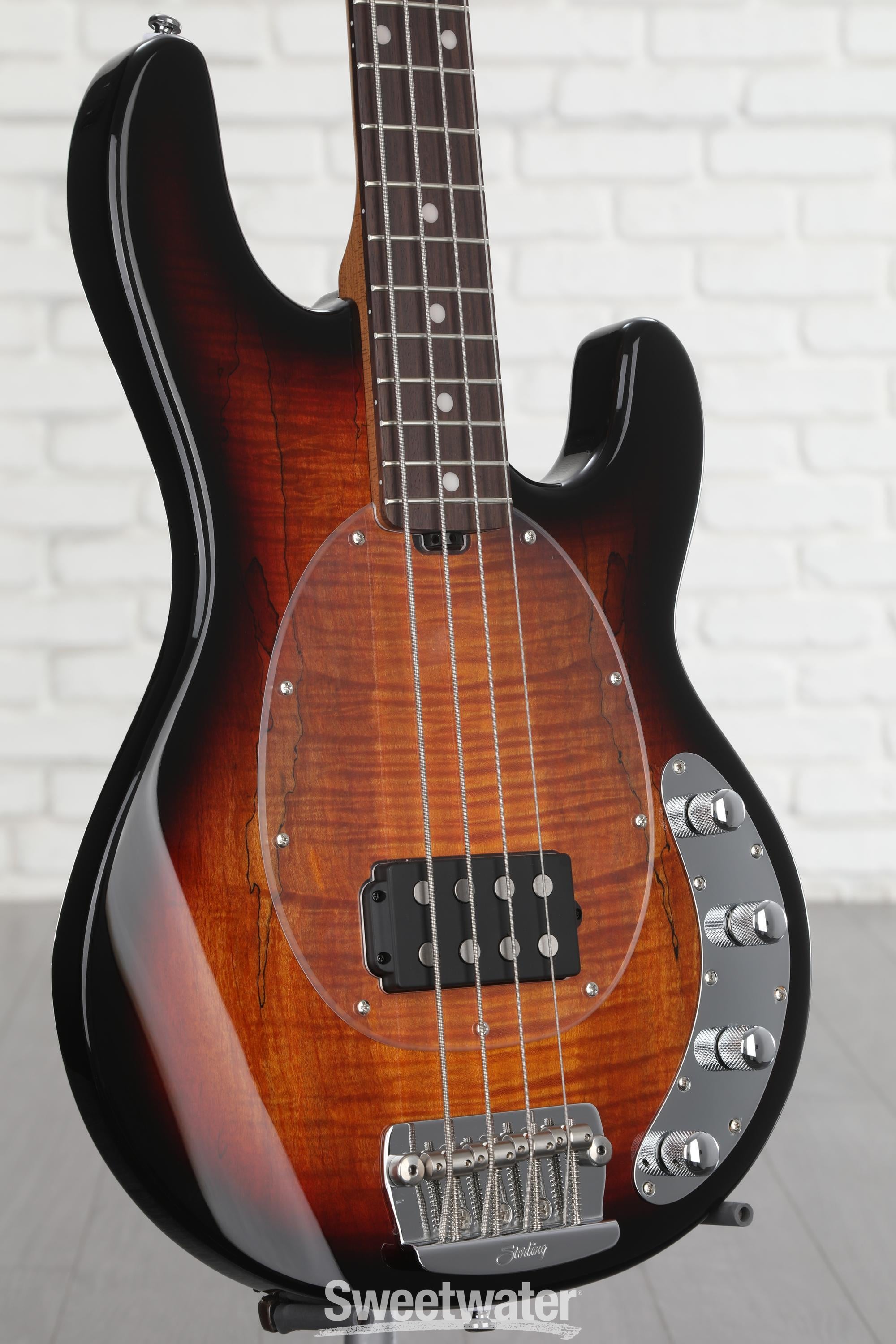 Sterling StingRay エレキベース 4弦 ブラウン Music Man STERLING by Musicman スターリン RAY4 Natural Gloss