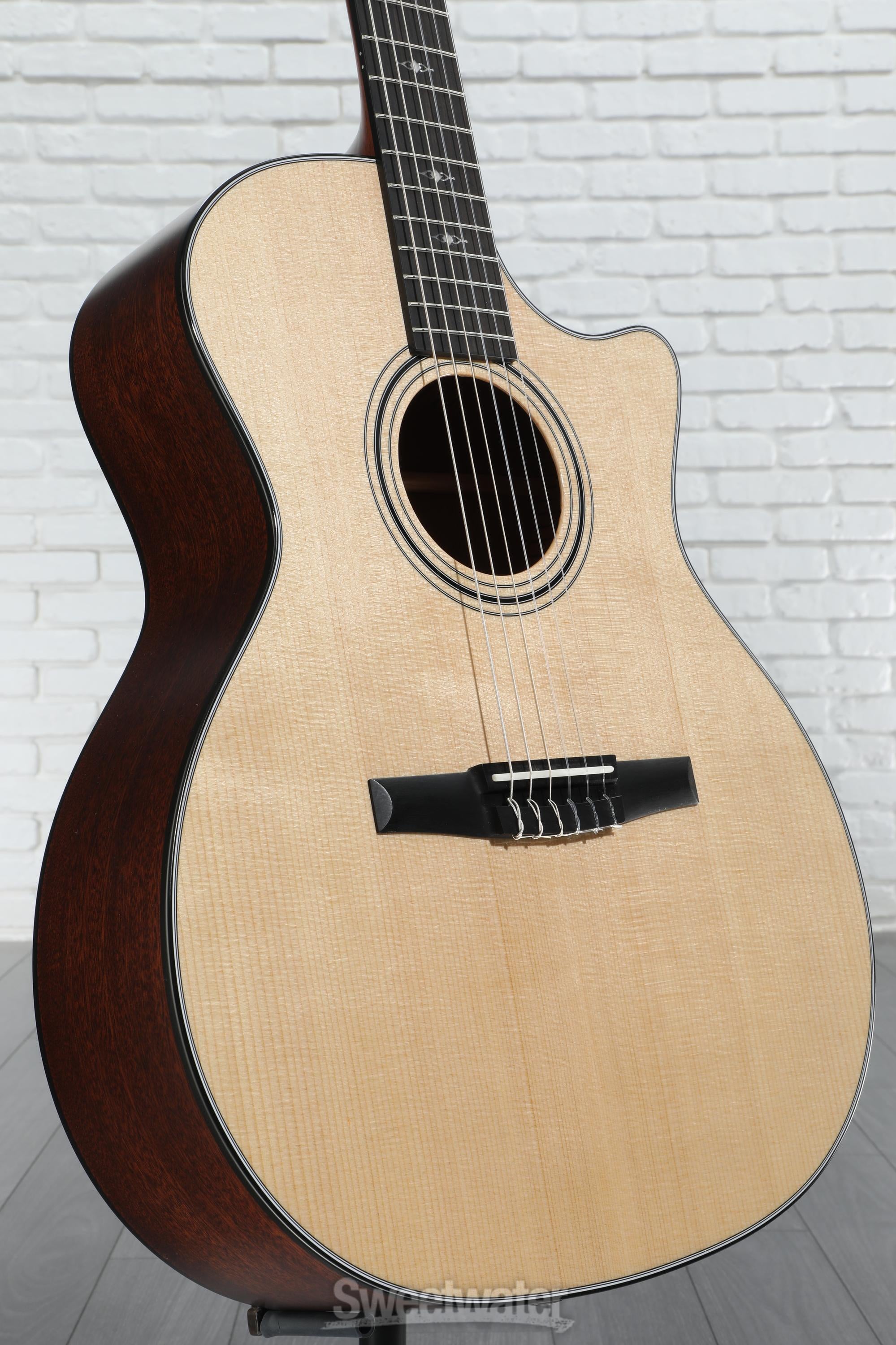 314ce-N Sapele Acoustic-Electric Guitar | Taylor Guitars