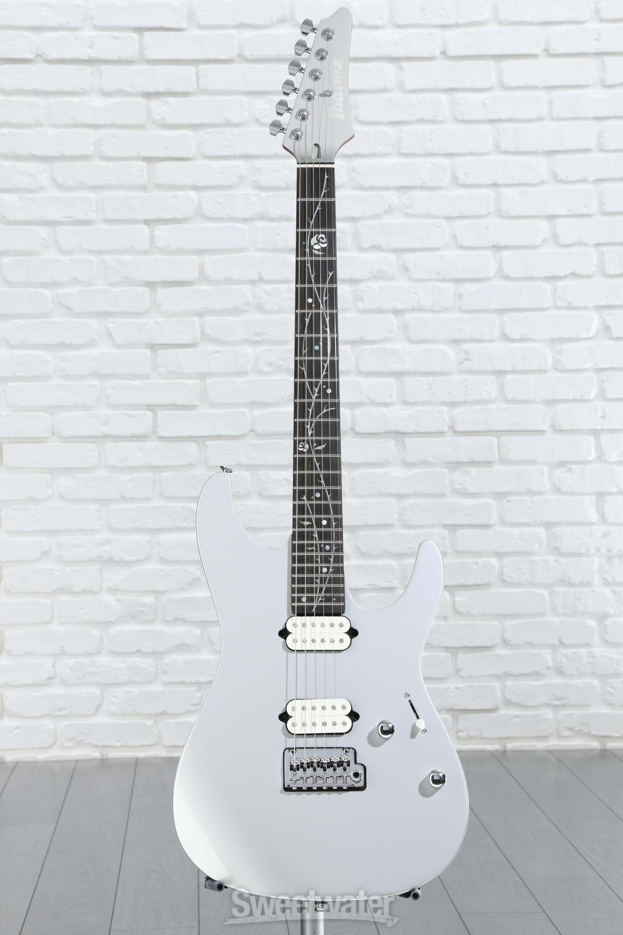 Amazon.com: Ibanez TOD10N Tim Henson Signature Nylon