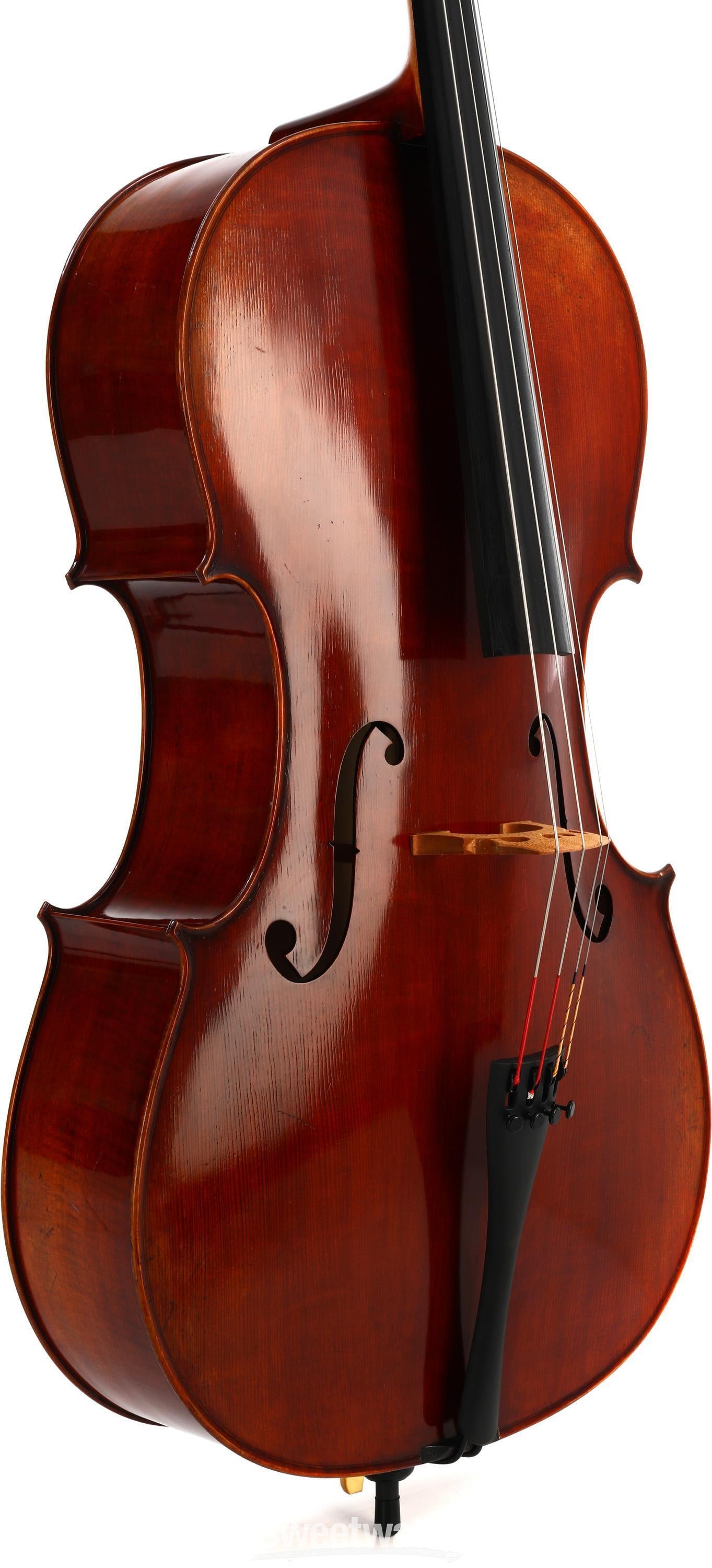 Eastman VC701 Rudoulf Doetsch Professional Cello - 4/4 Size