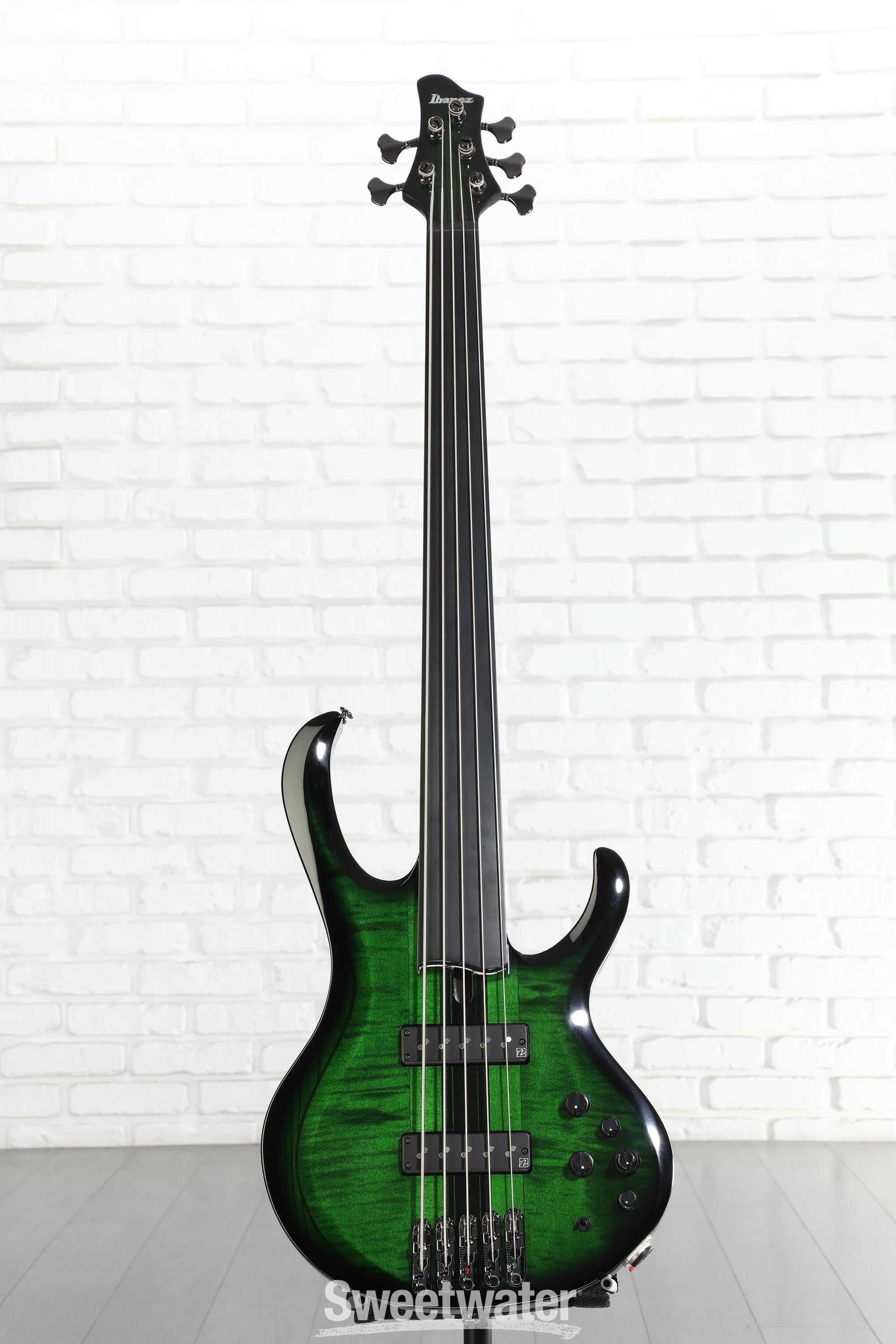 Ibanez Steve Di Giorgio SDGB1 Signature 5-string Fretless Bass