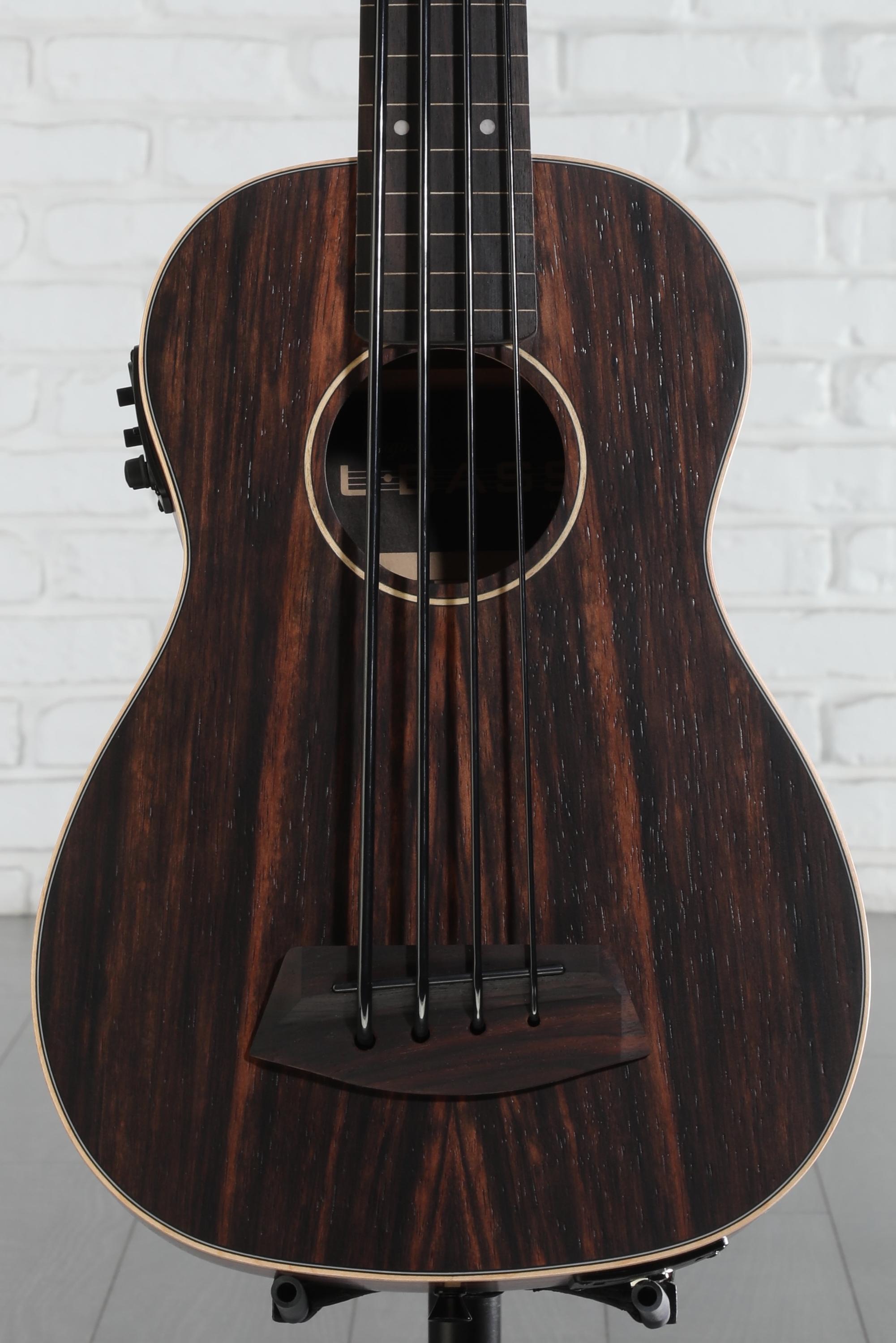 Kala U-Bass Fretless Acoustic-Electric Bass Ukulele - Striped