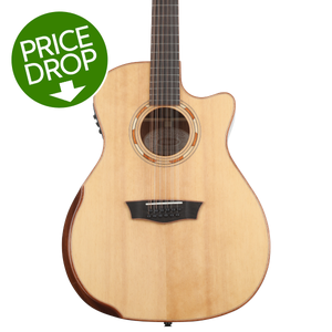 Washburn Comfort G15SCE 12 12 string Acoustic electric Guitar