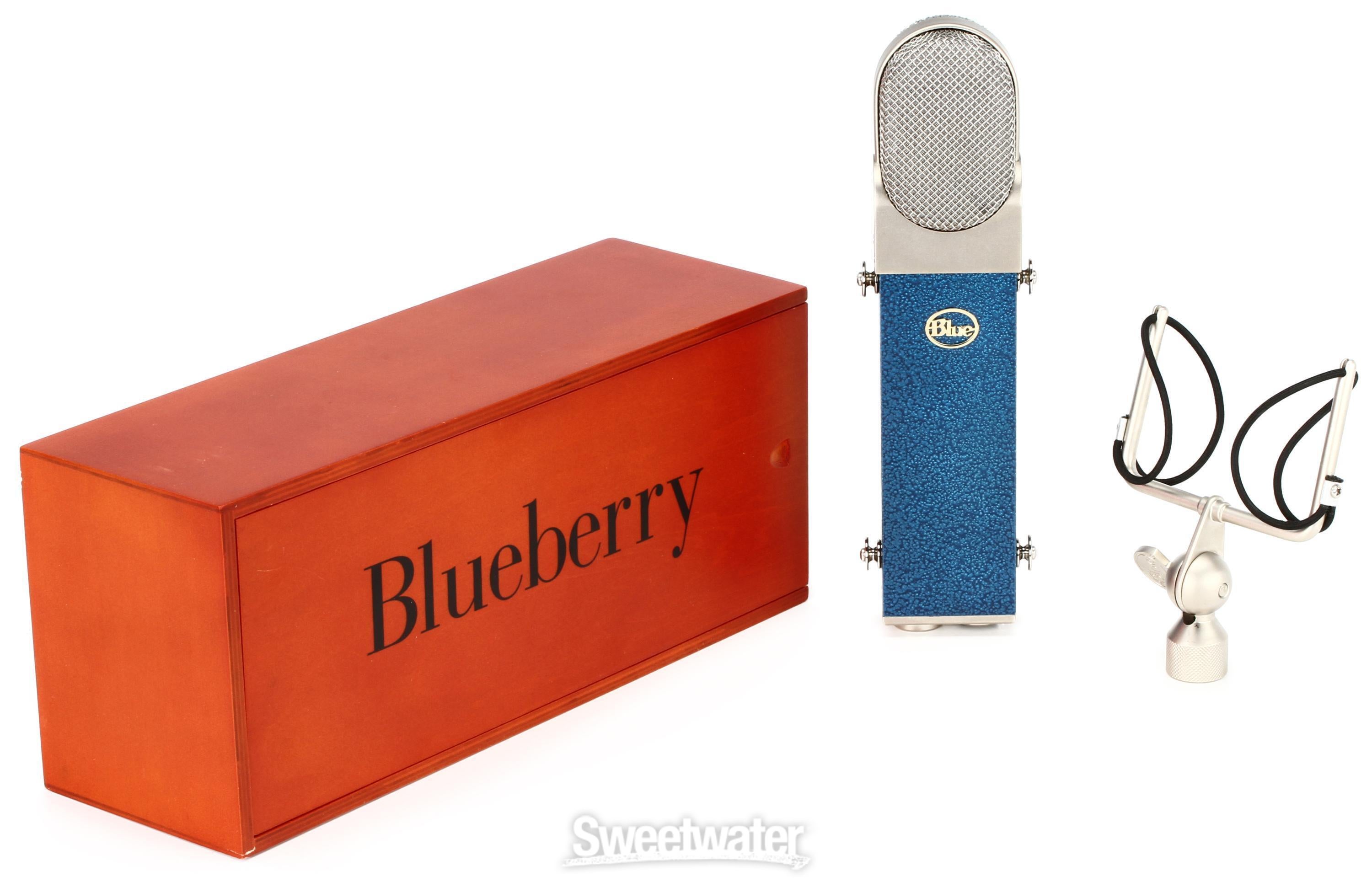 Blue Microphones Blueberry Cardioid Condenser Microphone Reviews |  Sweetwater