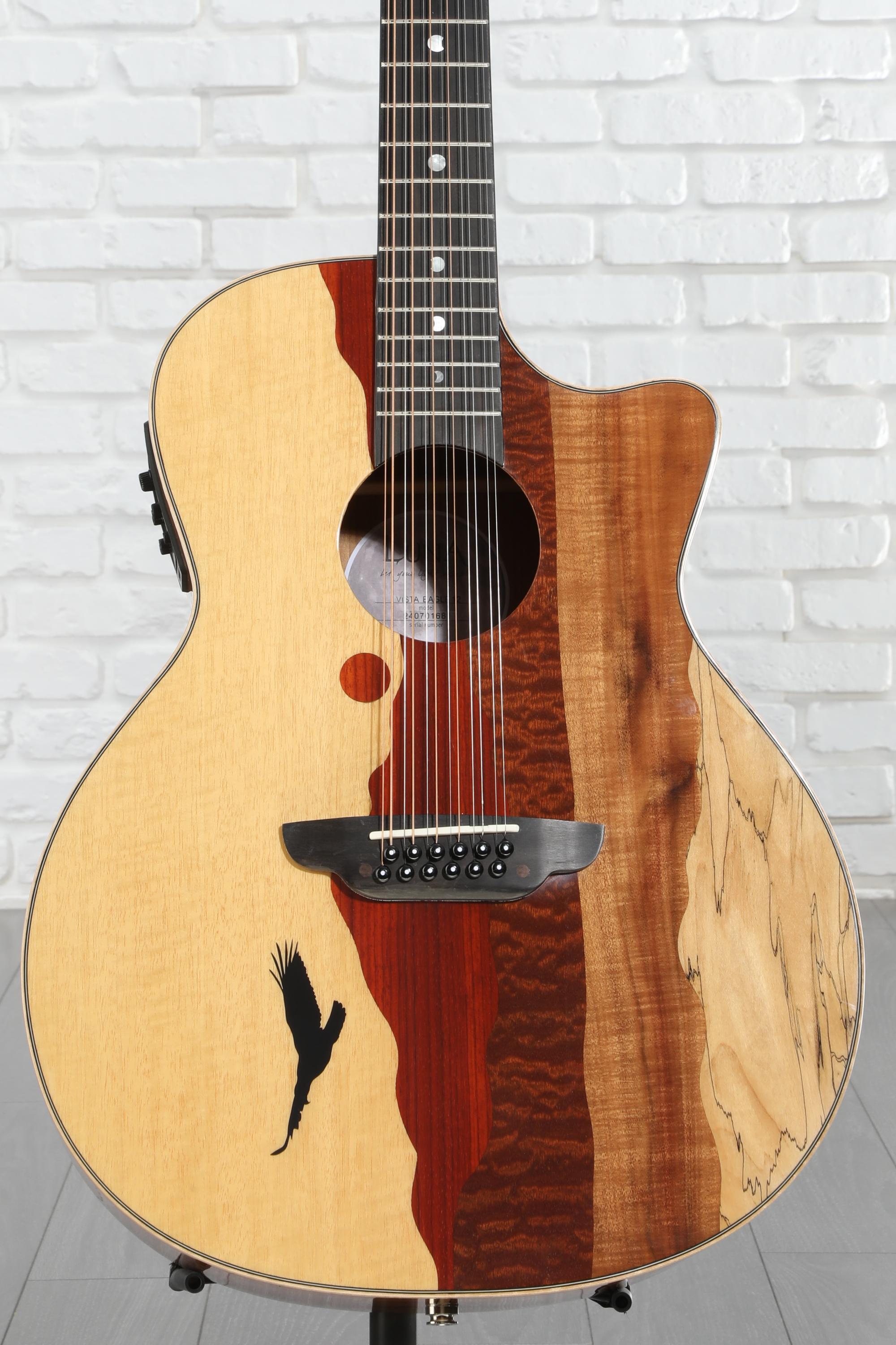 Luna Vista Eagle 12-string Acoustic-electric Guitar - Gloss