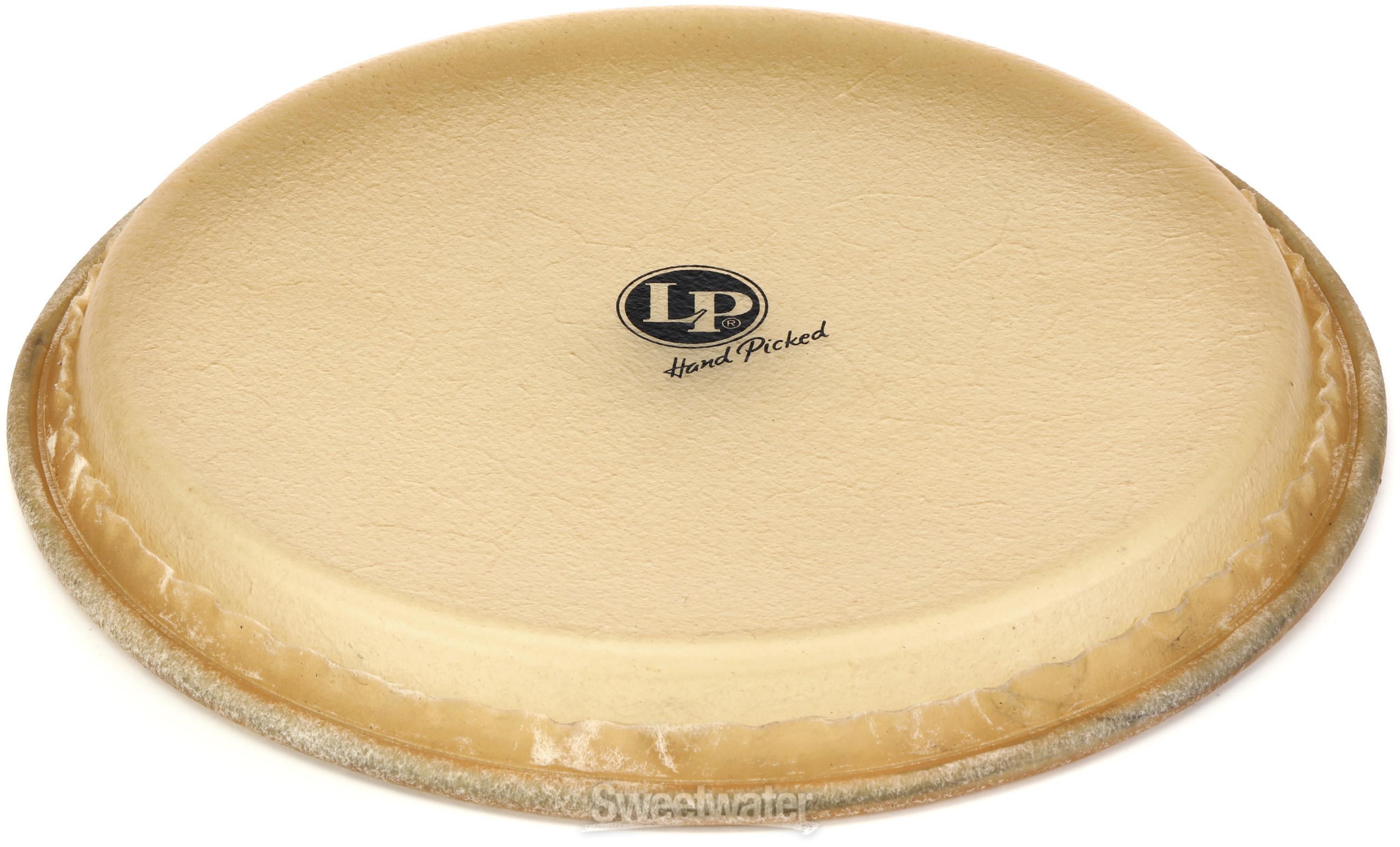 LP265B コンガヘッド LP 11 3/4\" パタートモデル用 Amazon | LP LP265B コンガヘッド11 3/4 コンガ用ヘッド