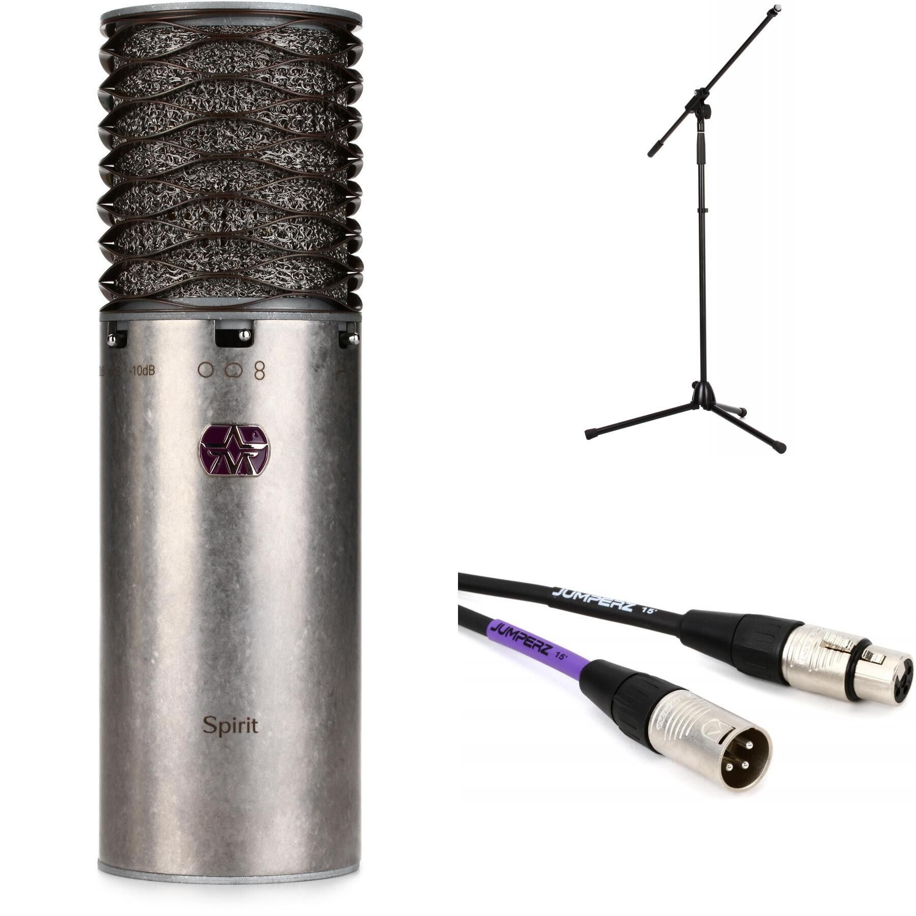 Aston Microphones Spirit Large-diaphragm Condenser Microphone Bundle with  Stand and Cable