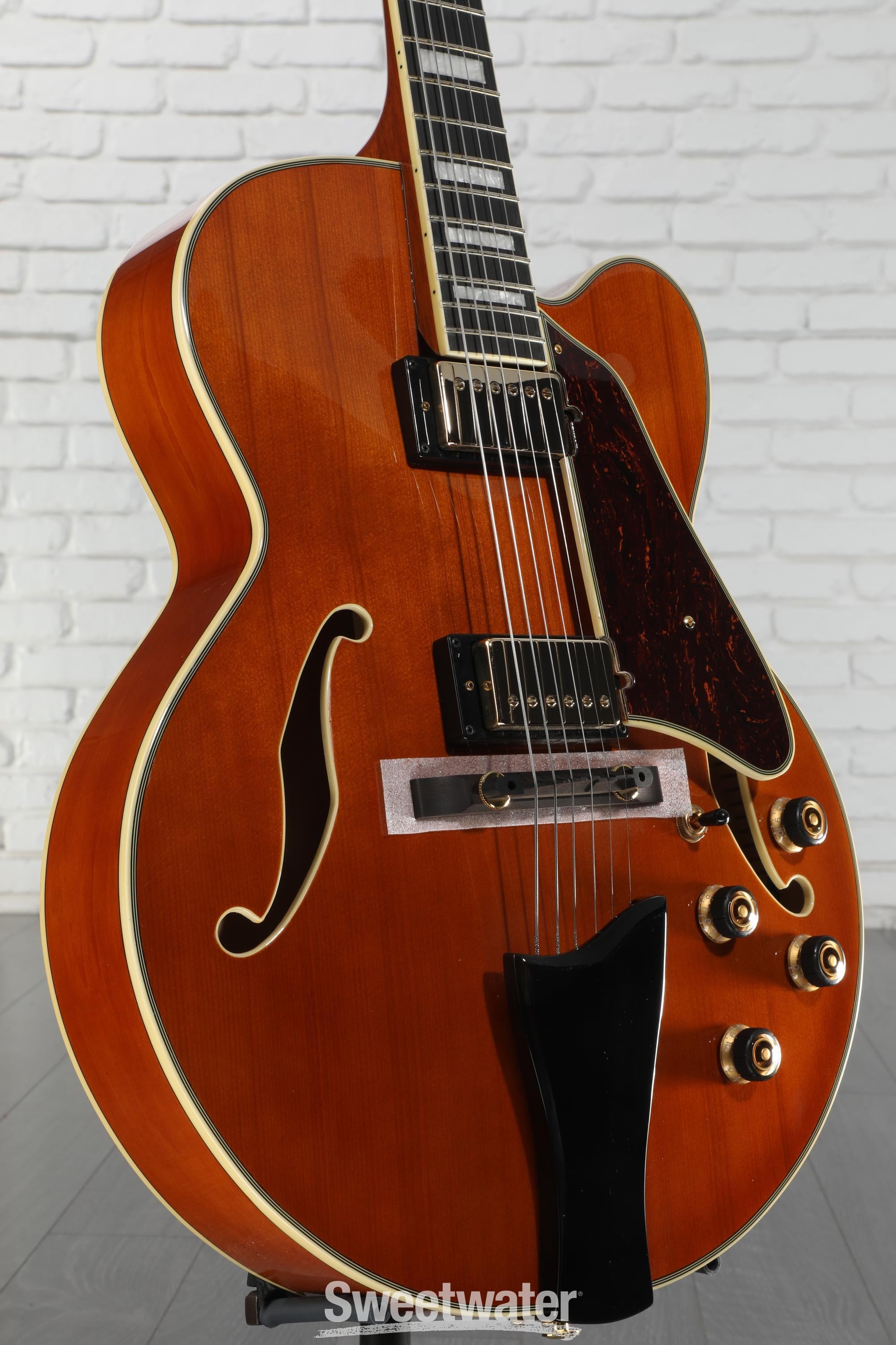 CATORCE アシンメトリー Ibanez Artcore Expressionist AF95 Hollowbody Guitar Dark Amber