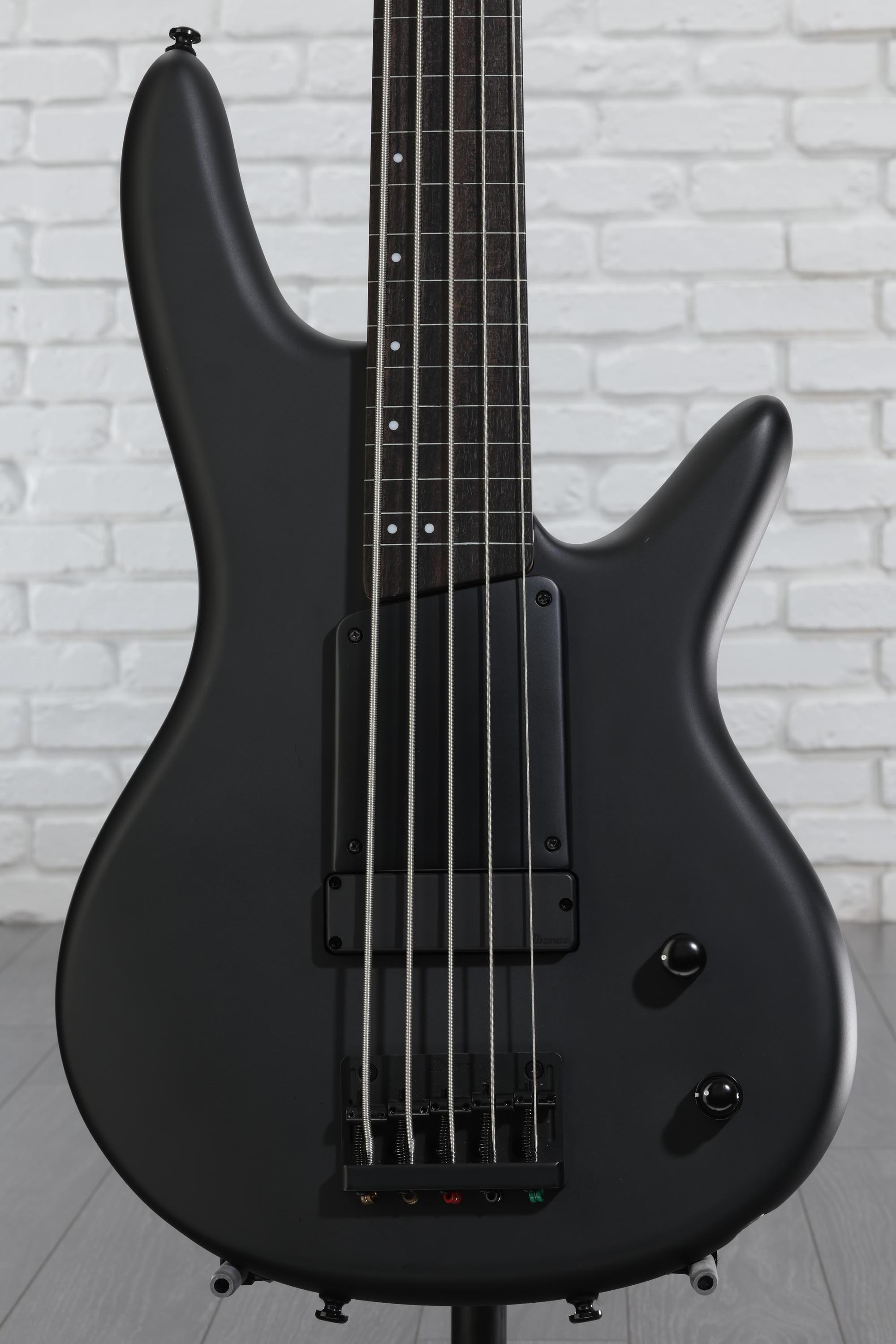 Ibanez Gary Willis Signature GWB35 Fretless 5-string Bass Guitar