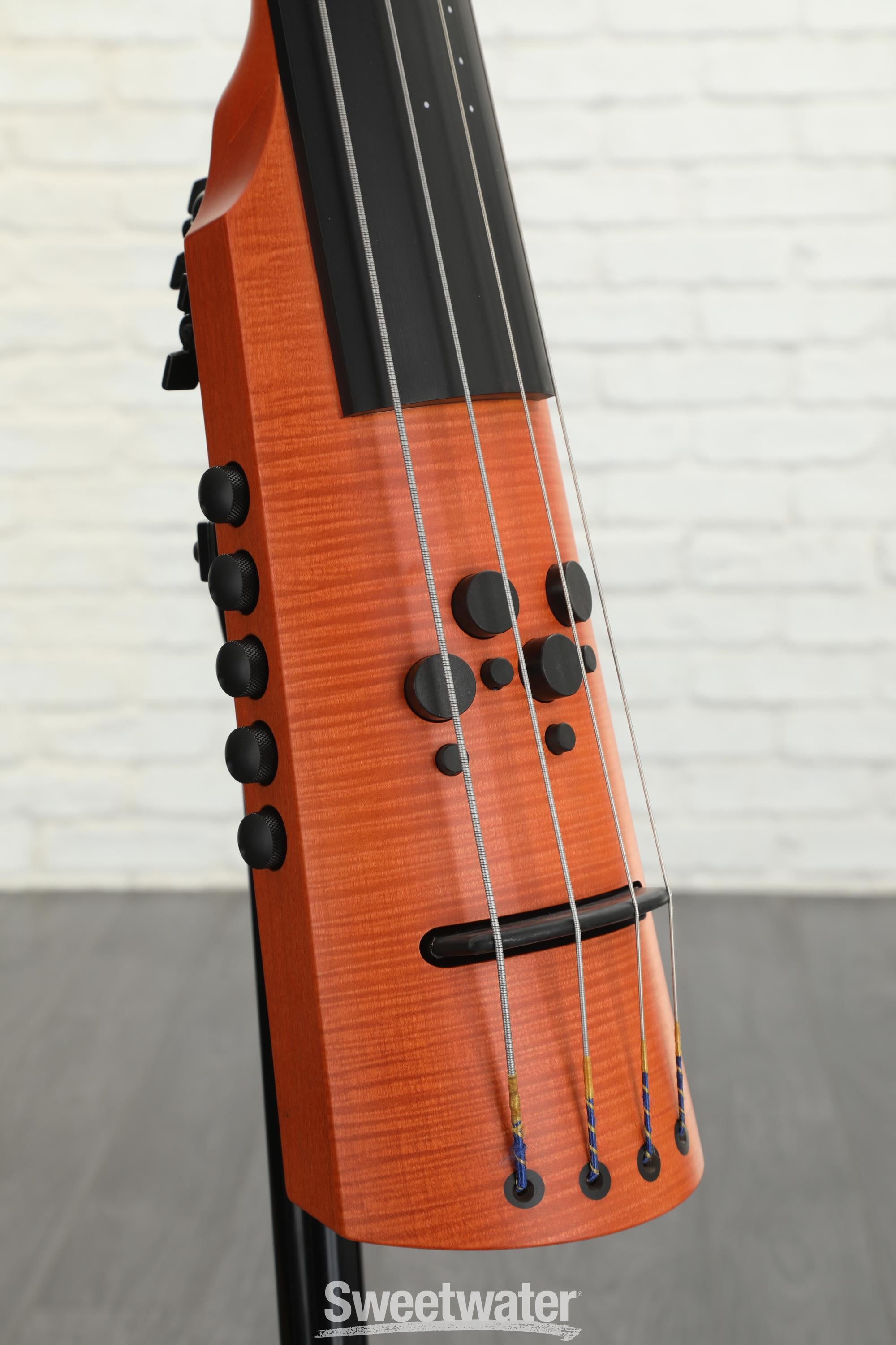 NS Design CR4M Upright Bass - Amber