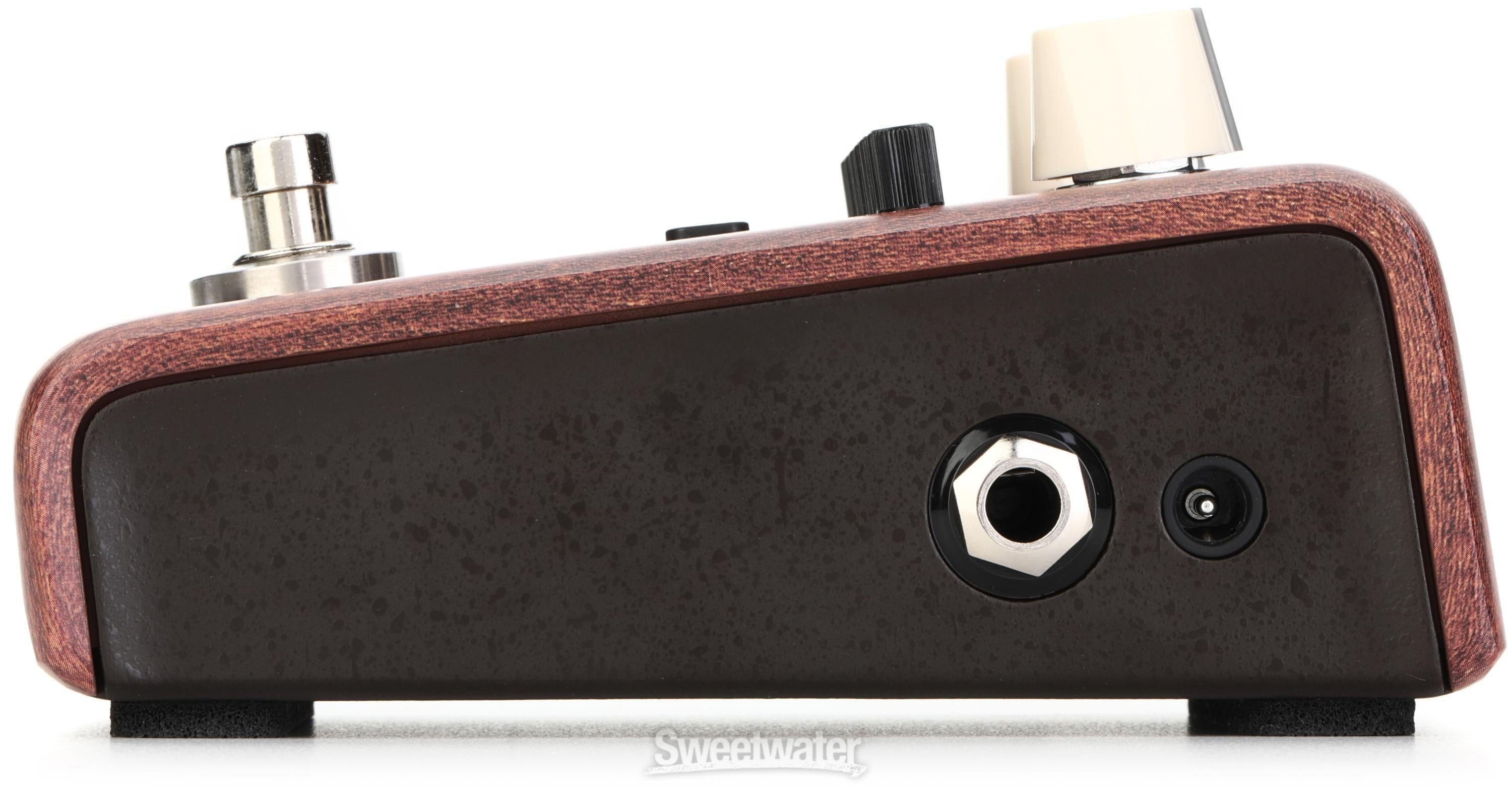 LR Baggs Align Equalizer Acoustic EQ Pedal Reviews | Sweetwater