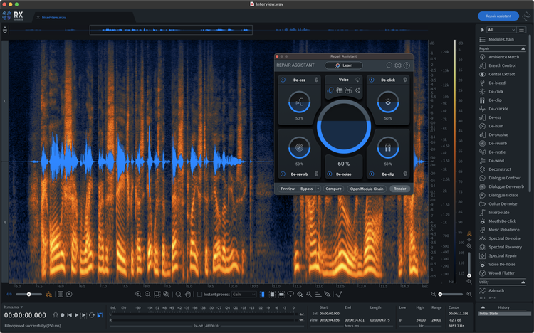 iZotope RX 10 Advanced Audio Repair Software