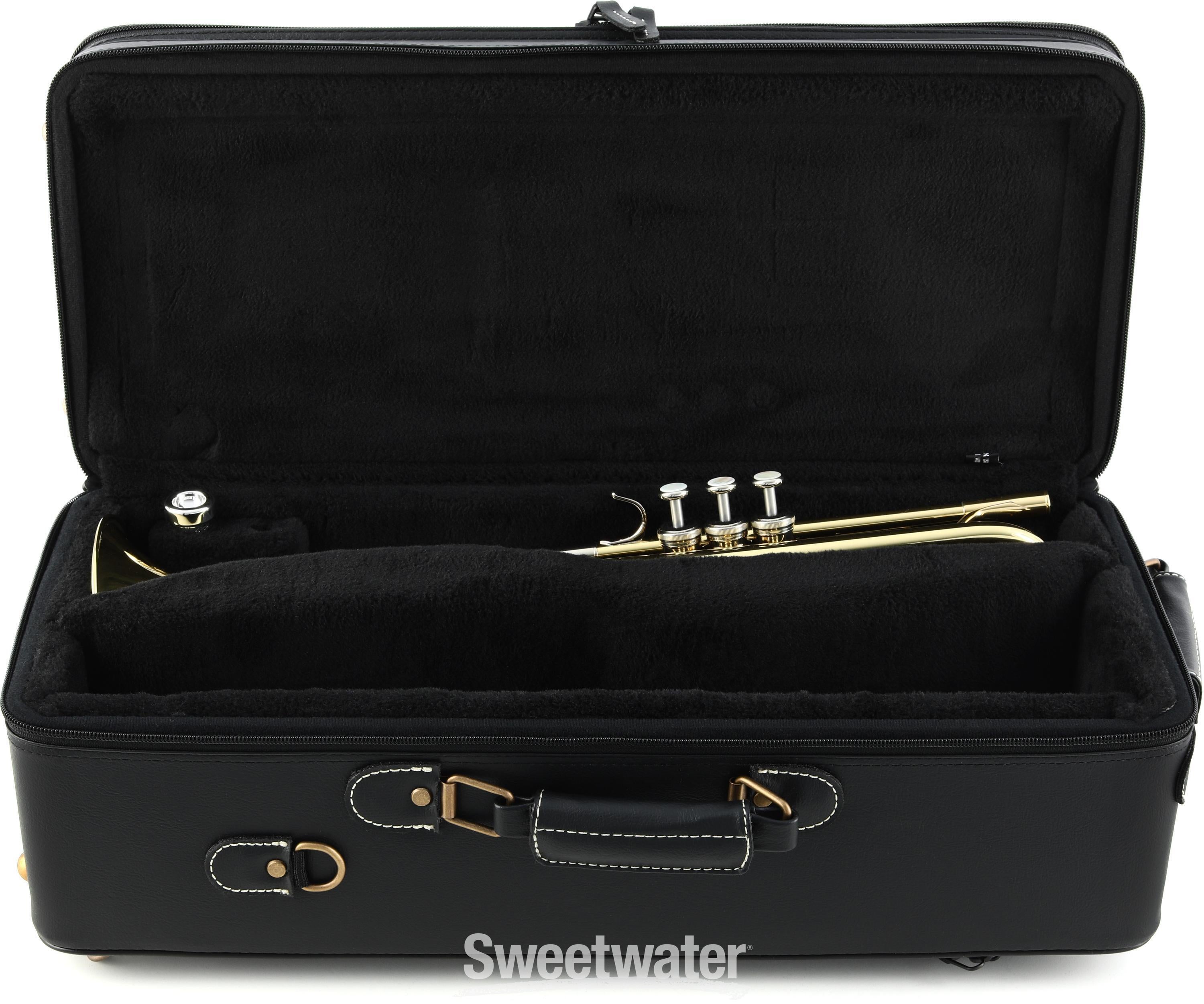 Yamaha double trumpet deals case