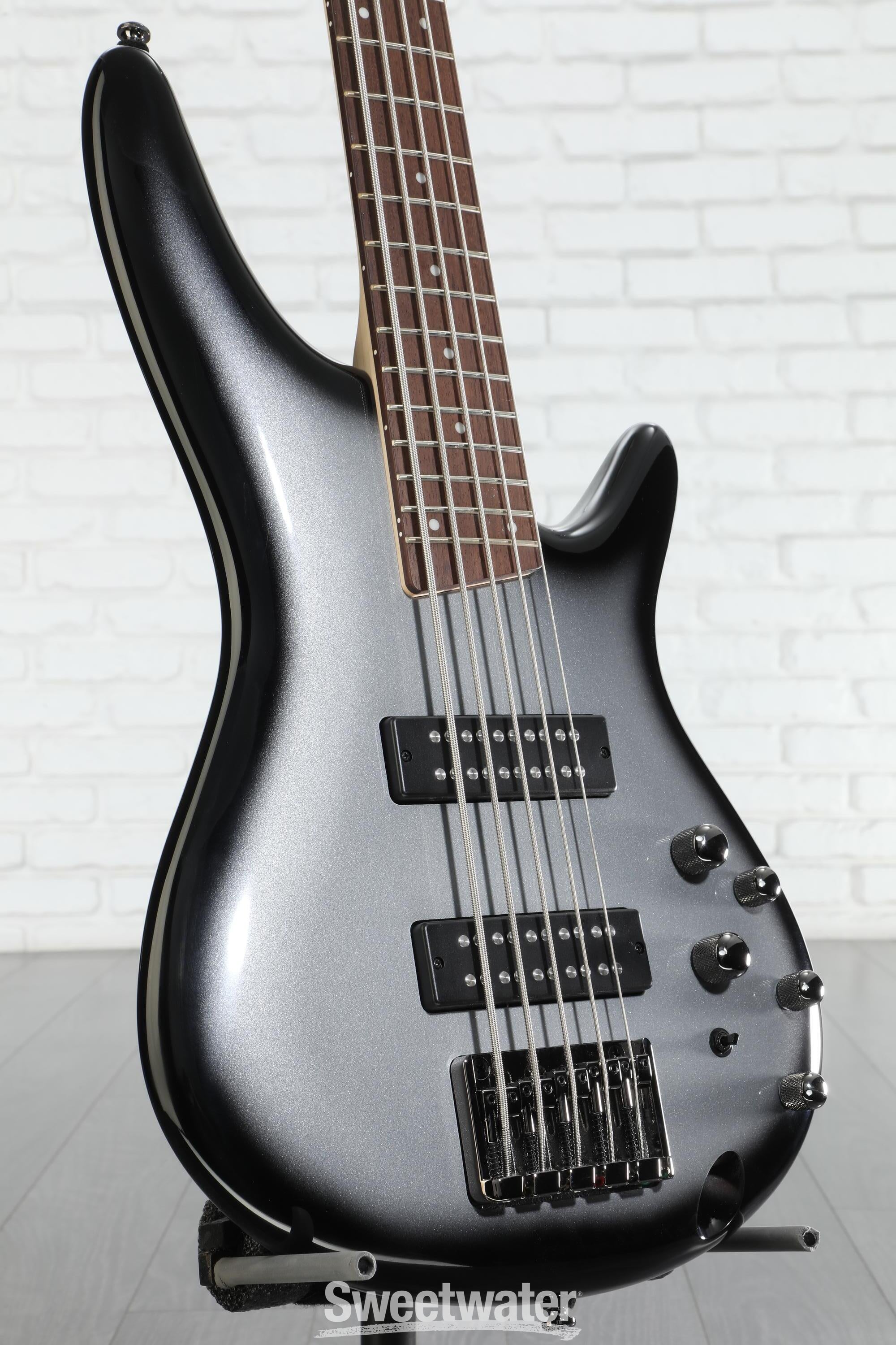 K*a様 Ibanez SR305E-IPT 5弦ベース SR305E | SR | ELECTRIC BASSES | PRODUCTS | Ibanez guitars