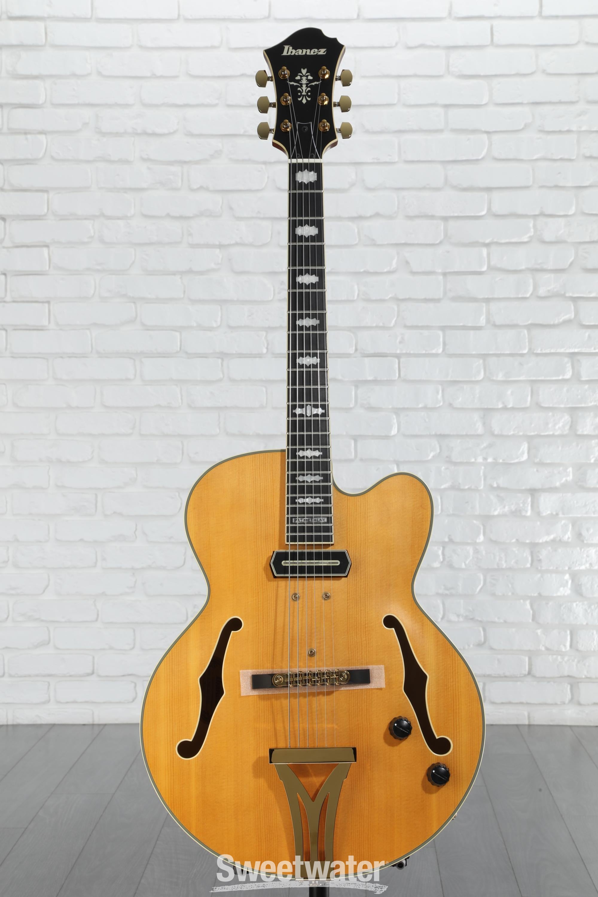 Ibanez PM3C Pat Metheny Signature Hollowbody Electric Guitar