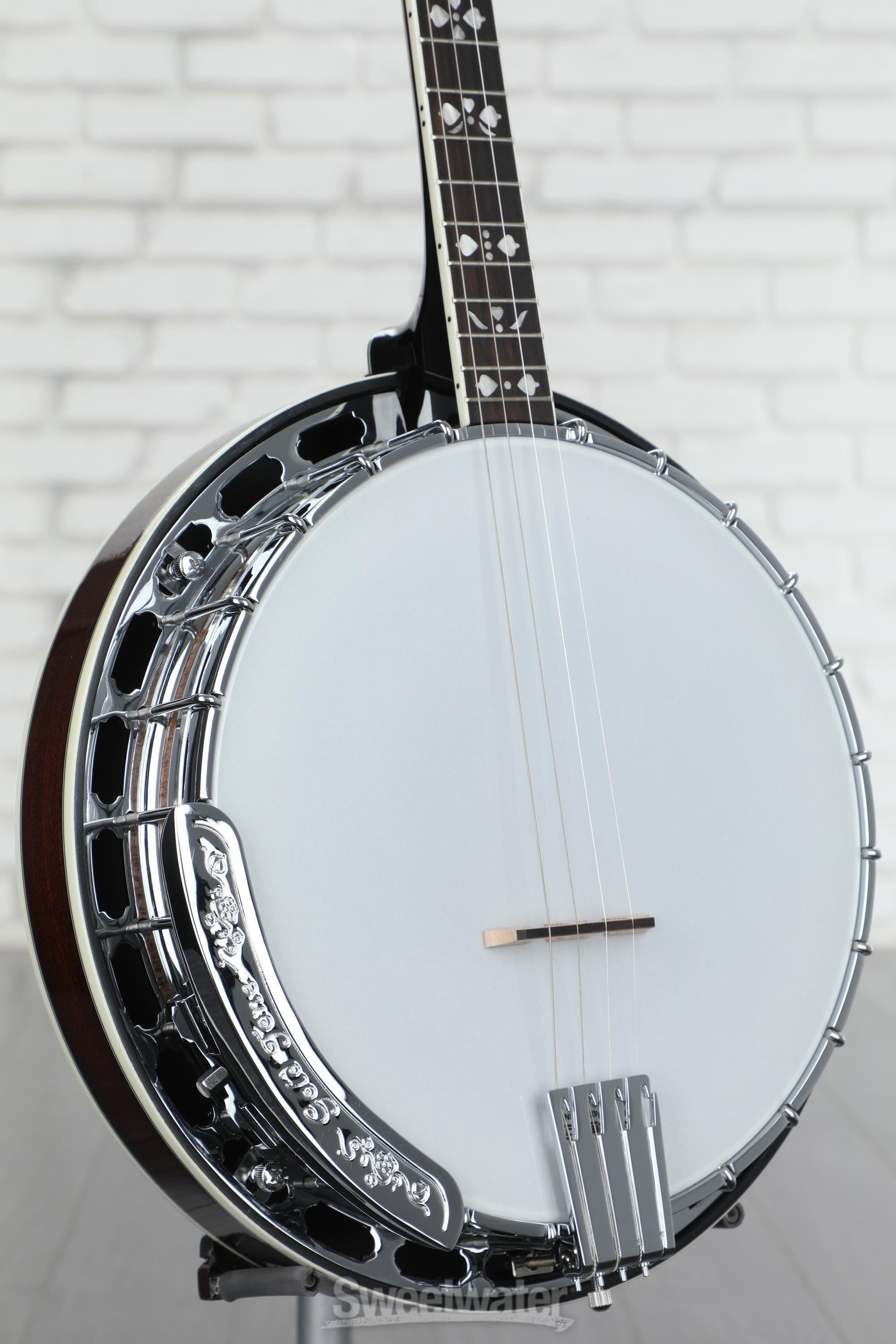Gold Tone TS-250 Tenor Special Banjo - Vintage Brown | Sweetwater