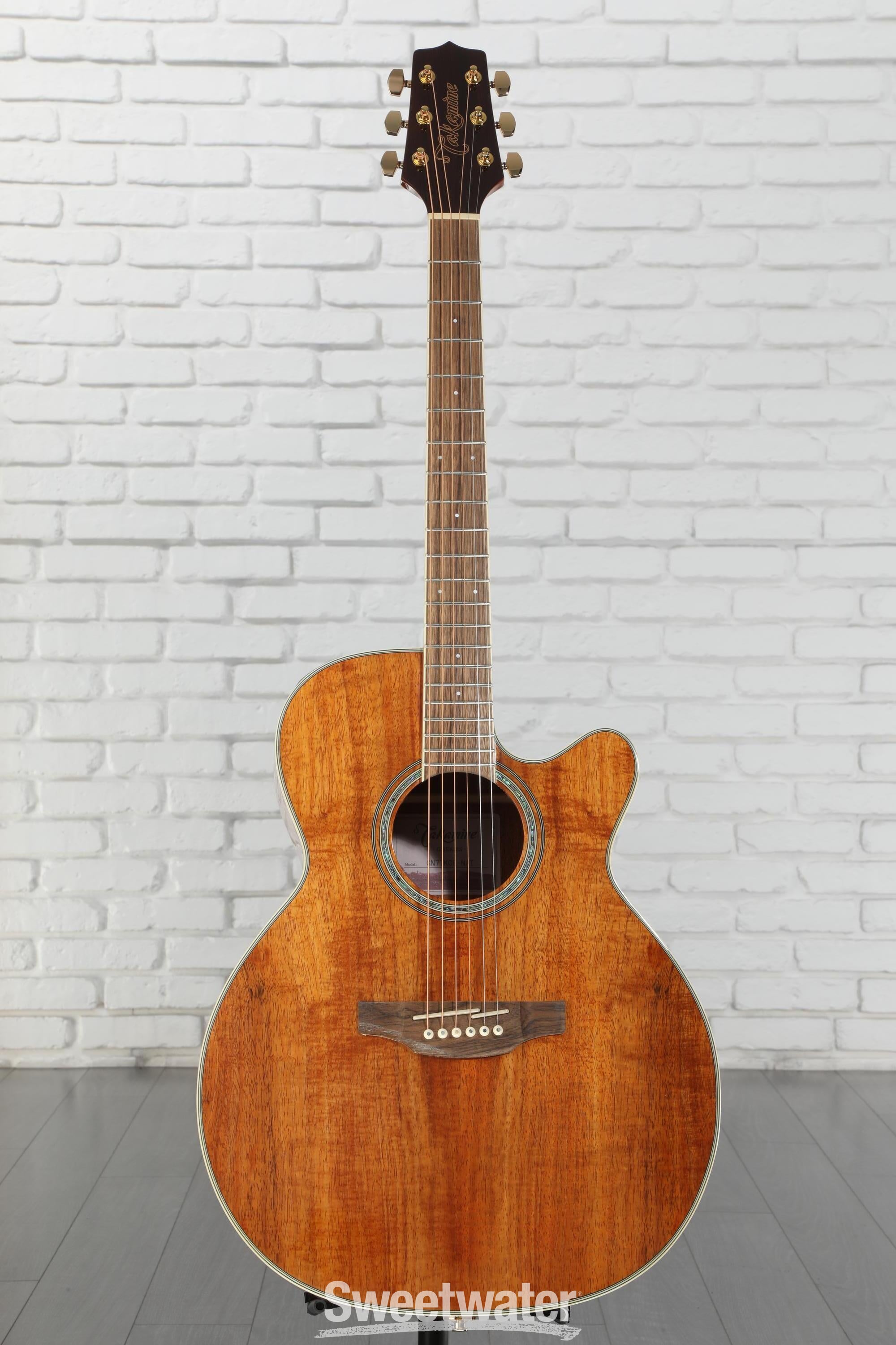 アコースティックギター takamine Takamine タカミネ