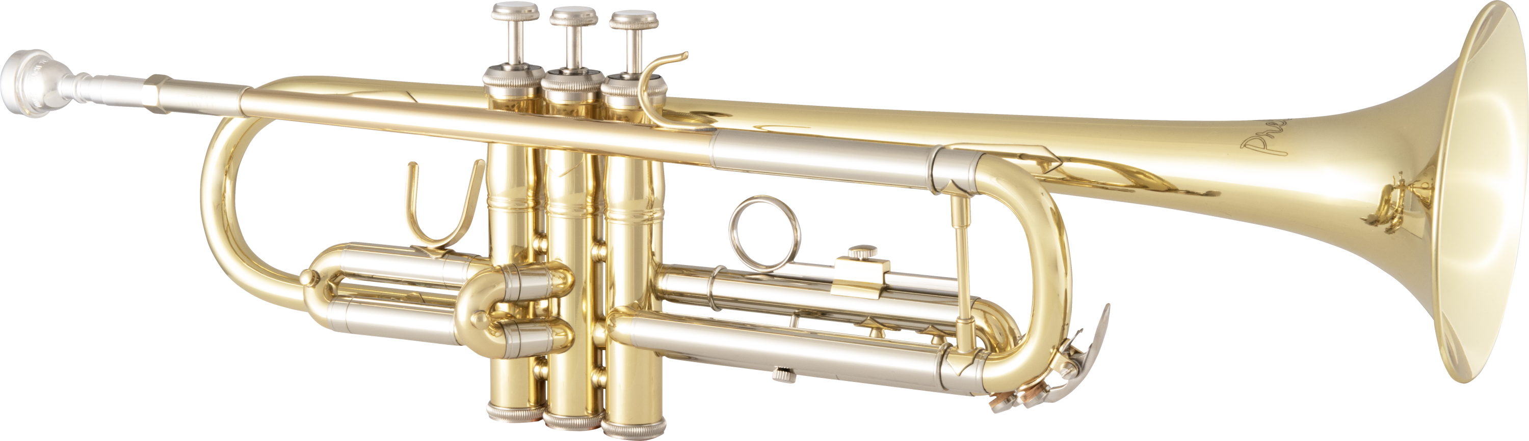 B Flat Lacquered Gold Brass Instrument : : Musical Instruments,  Stage & Studio