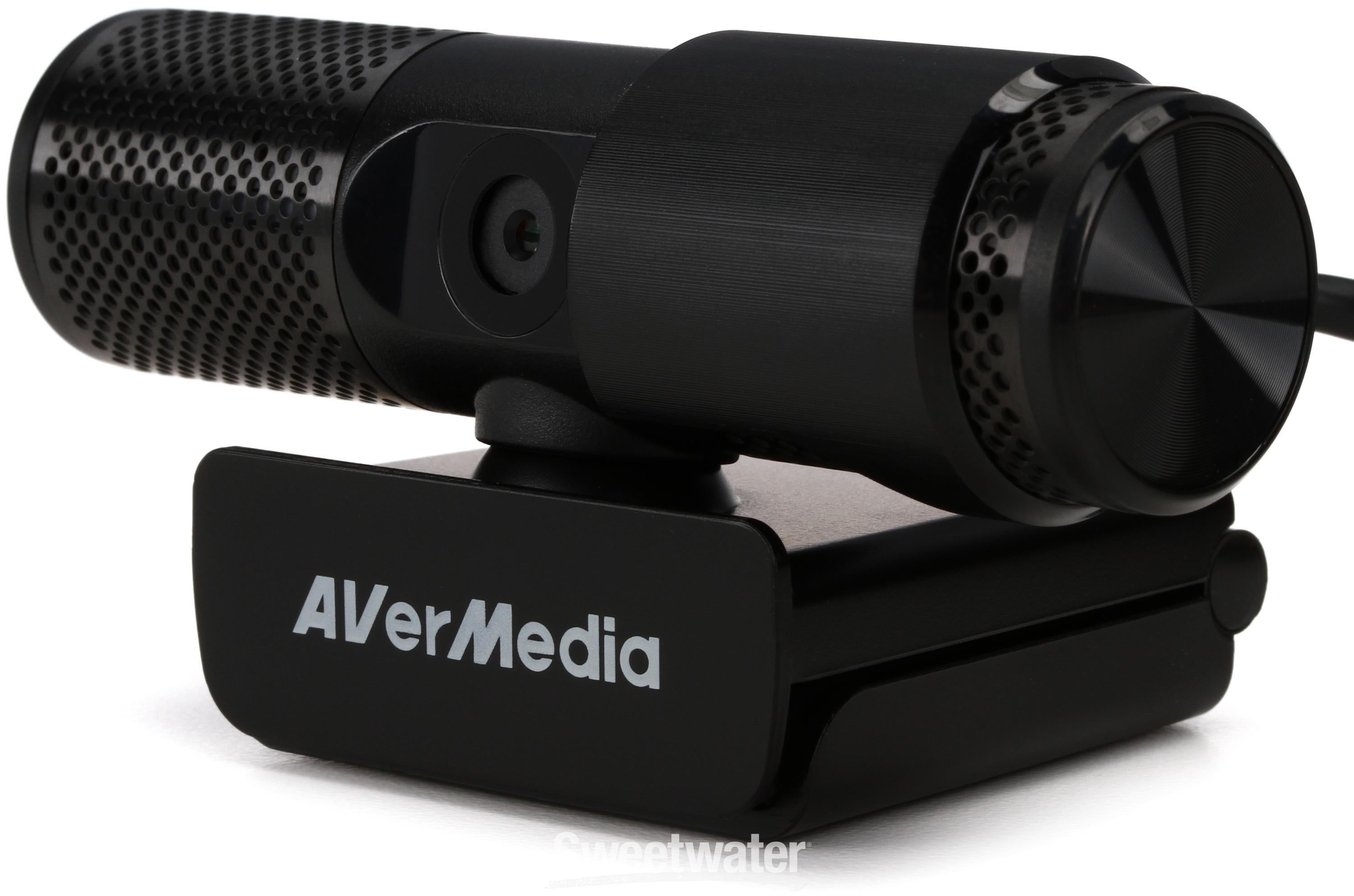 Webcam avermedia 313 hot sale