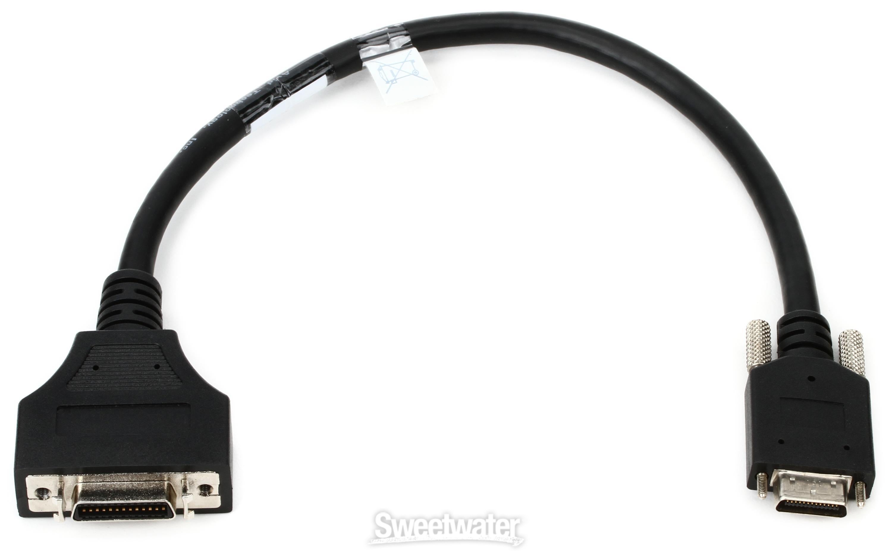 Avid DigiLink Female to DigiLink Mini Male Adapter Cable | Sweetwater