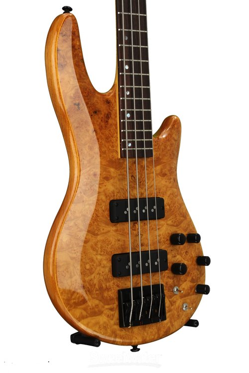 ESP LTD H-1004 Burled Maple - Honey Natural | Sweetwater