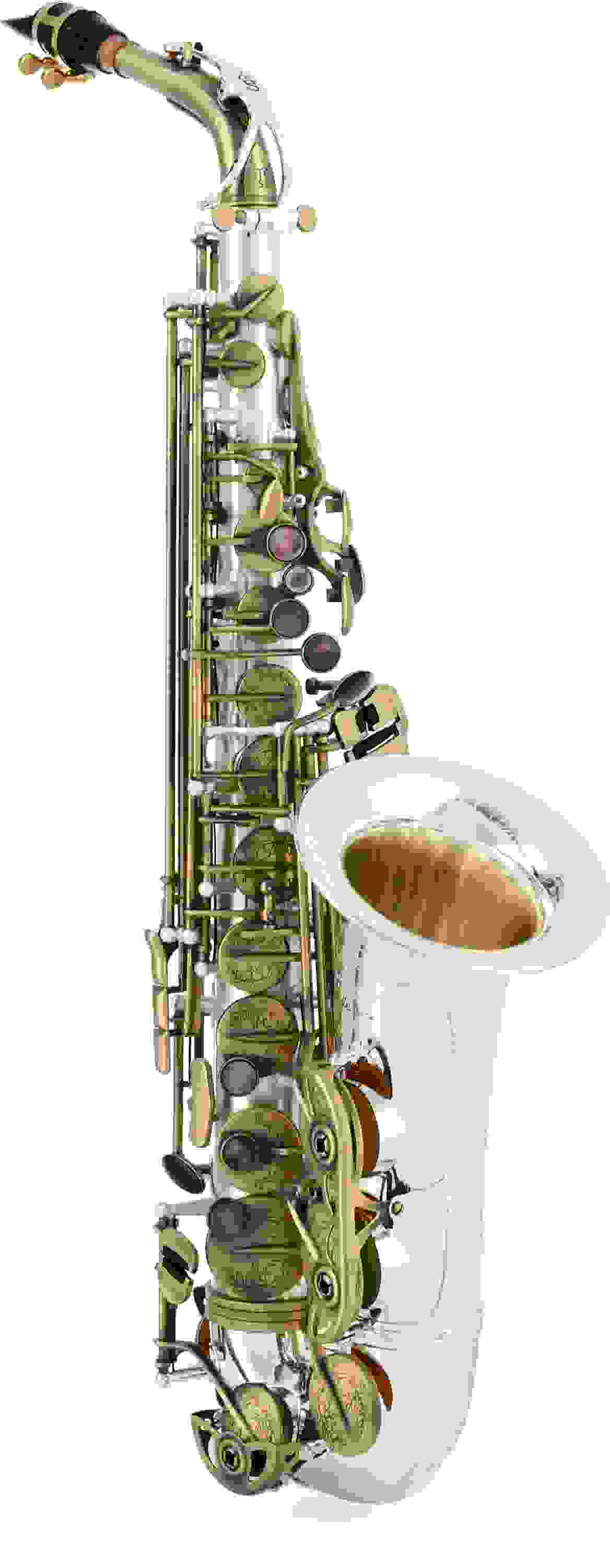 Growling Sax Roar Professional Alto Saxophone Dull Silver Body