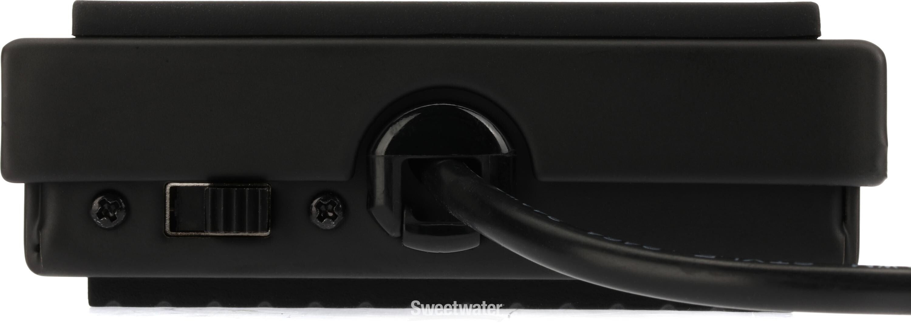 鍵盤楽器 Assist Pedal ASP-11 Amazon.com: Alesis ASP-1 MKII Universal Sustain Pedal and