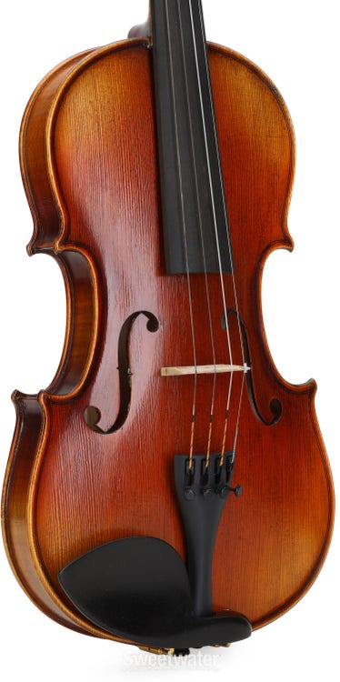 Spruce, 70-Old Spruce Stradivarius violino Spruce Europeia, 4/4