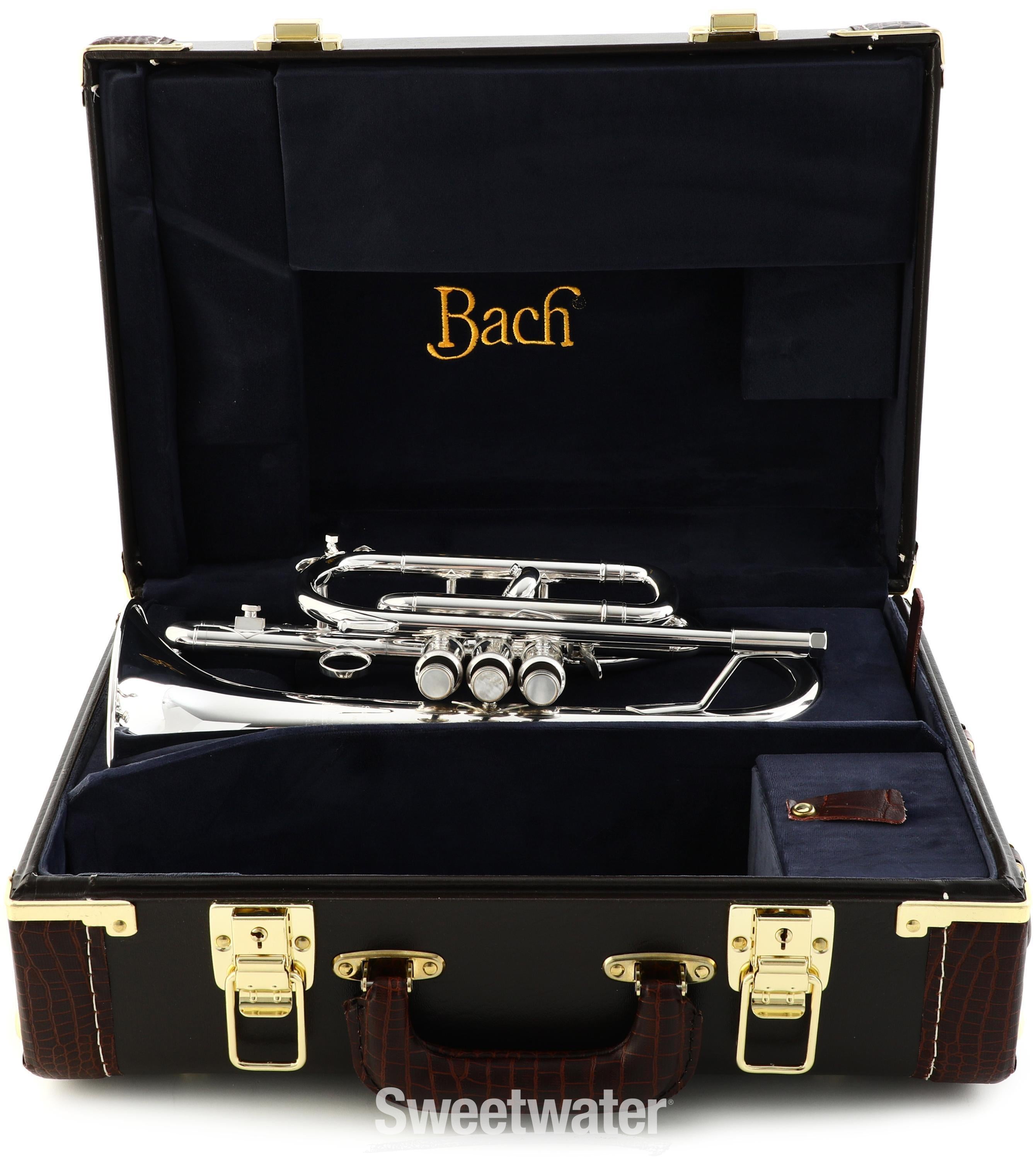 Bach 184SML Stradivarius Professional Bb Cornet - Silver