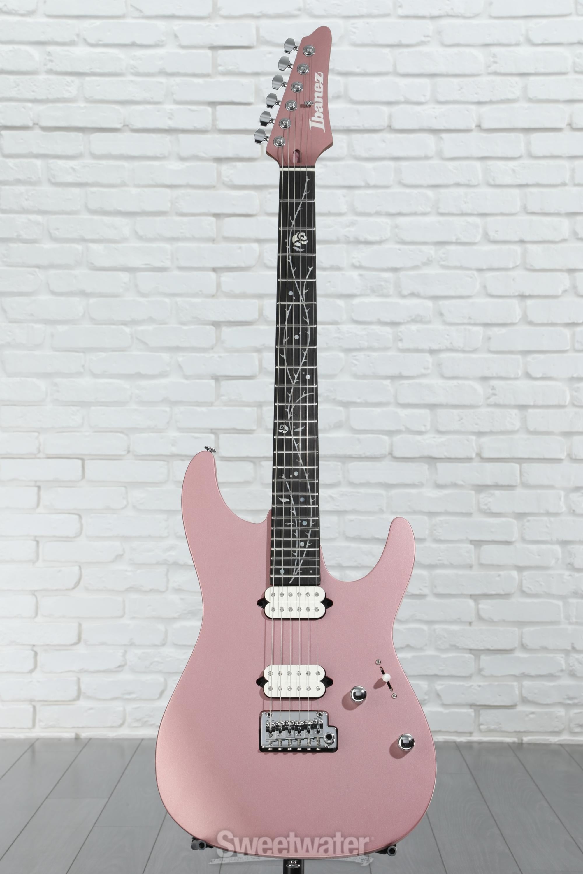 Ibanez TOD10 ケース付き Ibanez TOD10 ケース付き Ibanez TOD10 ケース付き Ibanez SIGNATURE